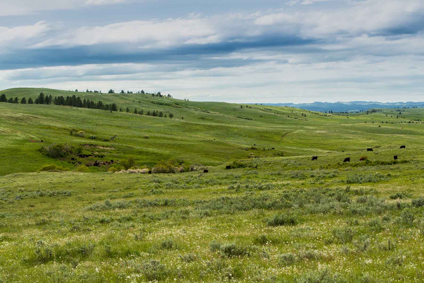 Rosebud South Ranch property picture 4 of 12