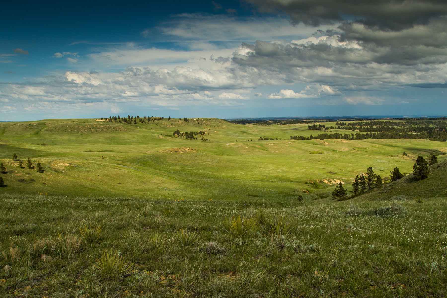 Rosebud South Ranch Sold Montana Hall and Hall