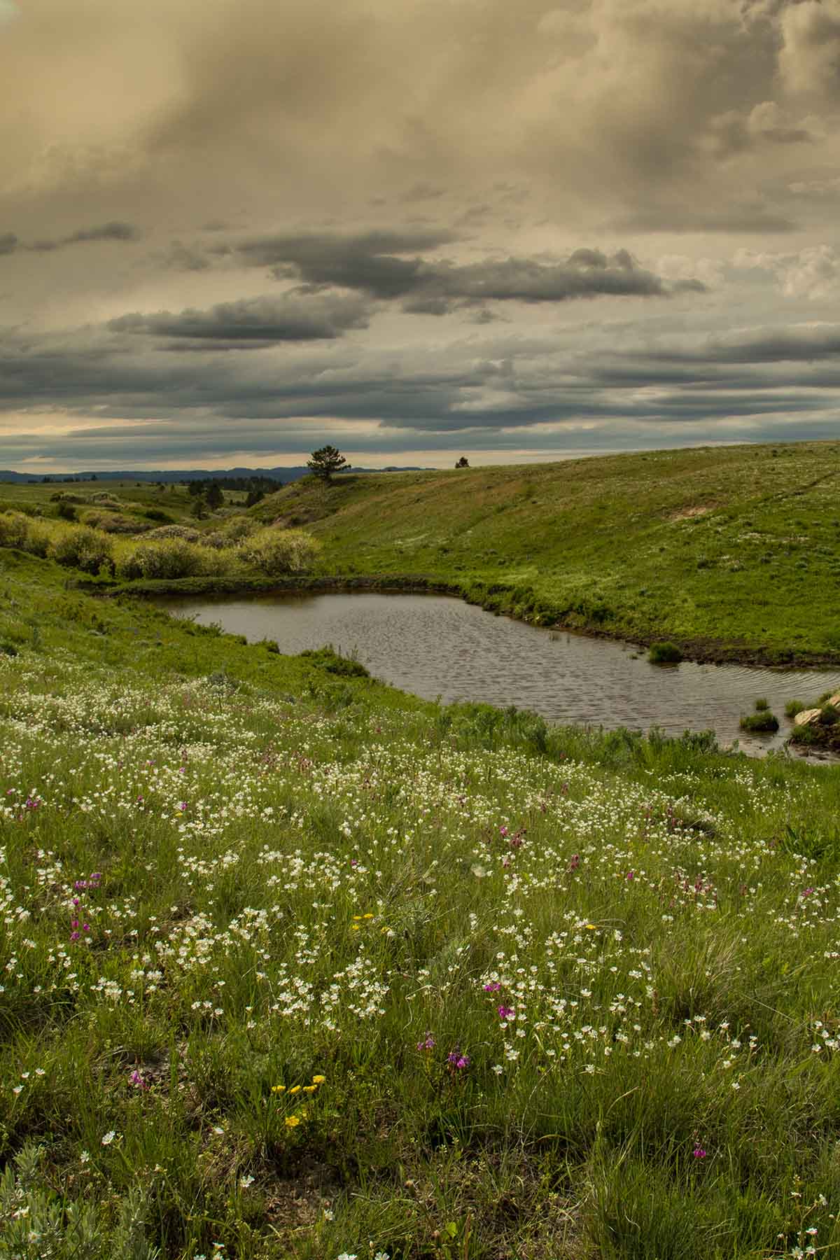 Rosebud South Ranch property picture 2 of 12
