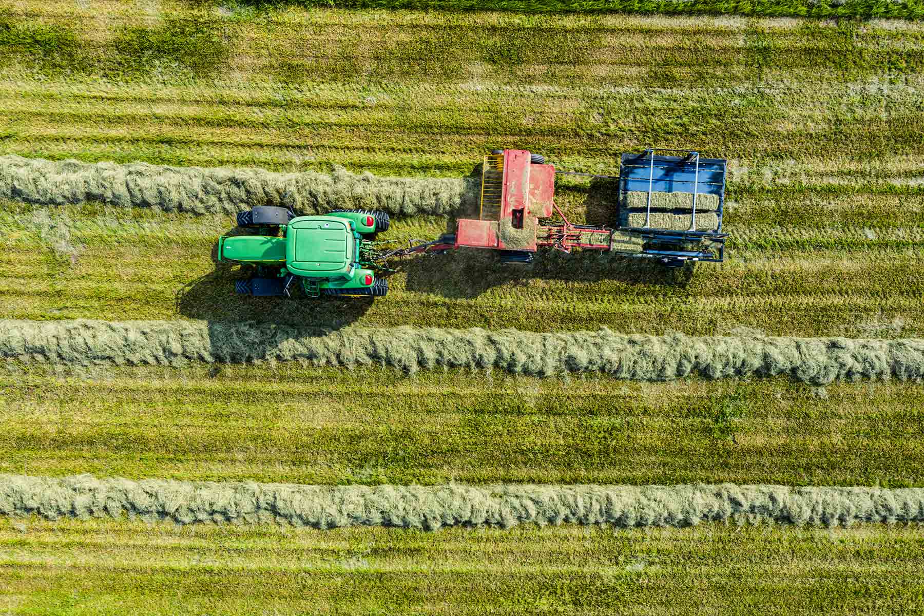 Circle L Ranch property picture 95 of 104