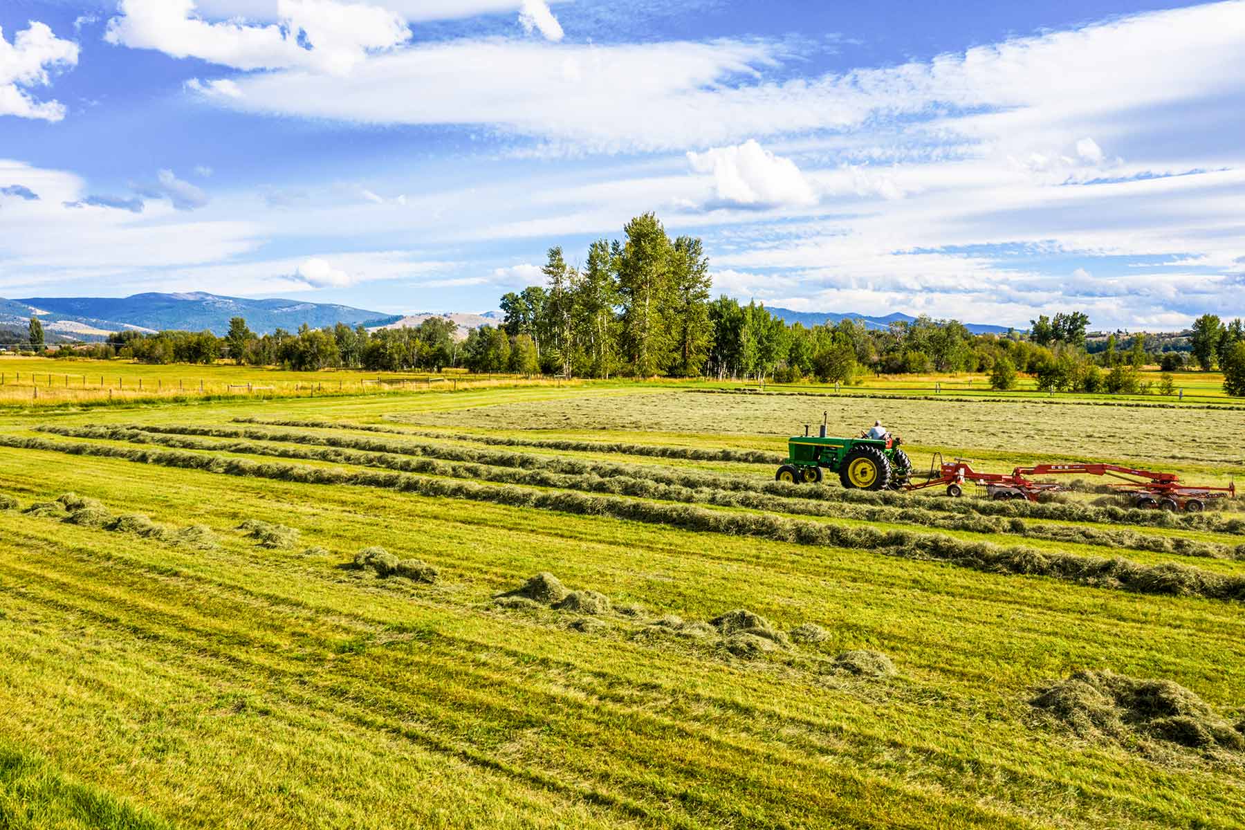 Circle L Ranch property picture 101 of 104