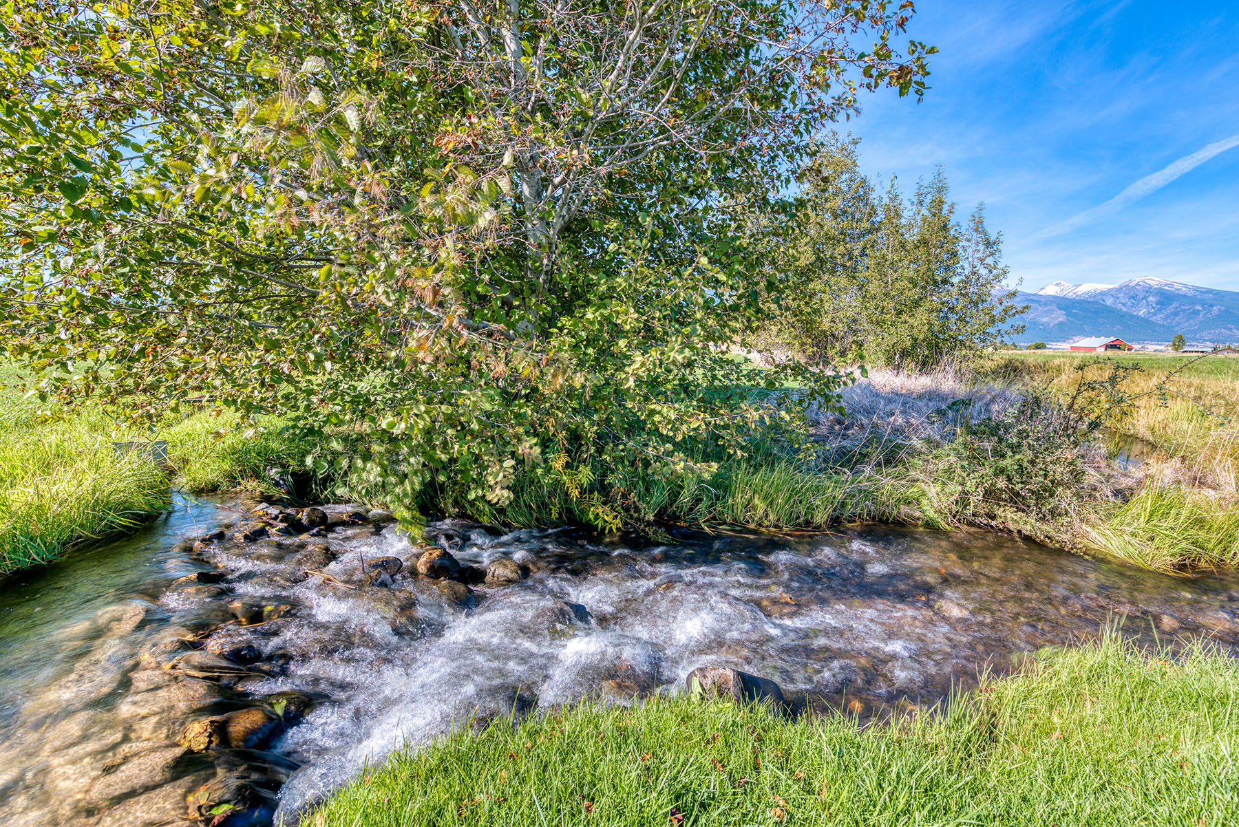 Circle L Ranch property picture 77 of 104