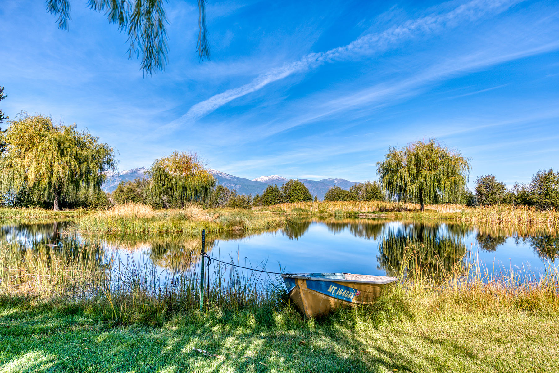 Circle L Ranch property picture 6 of 104