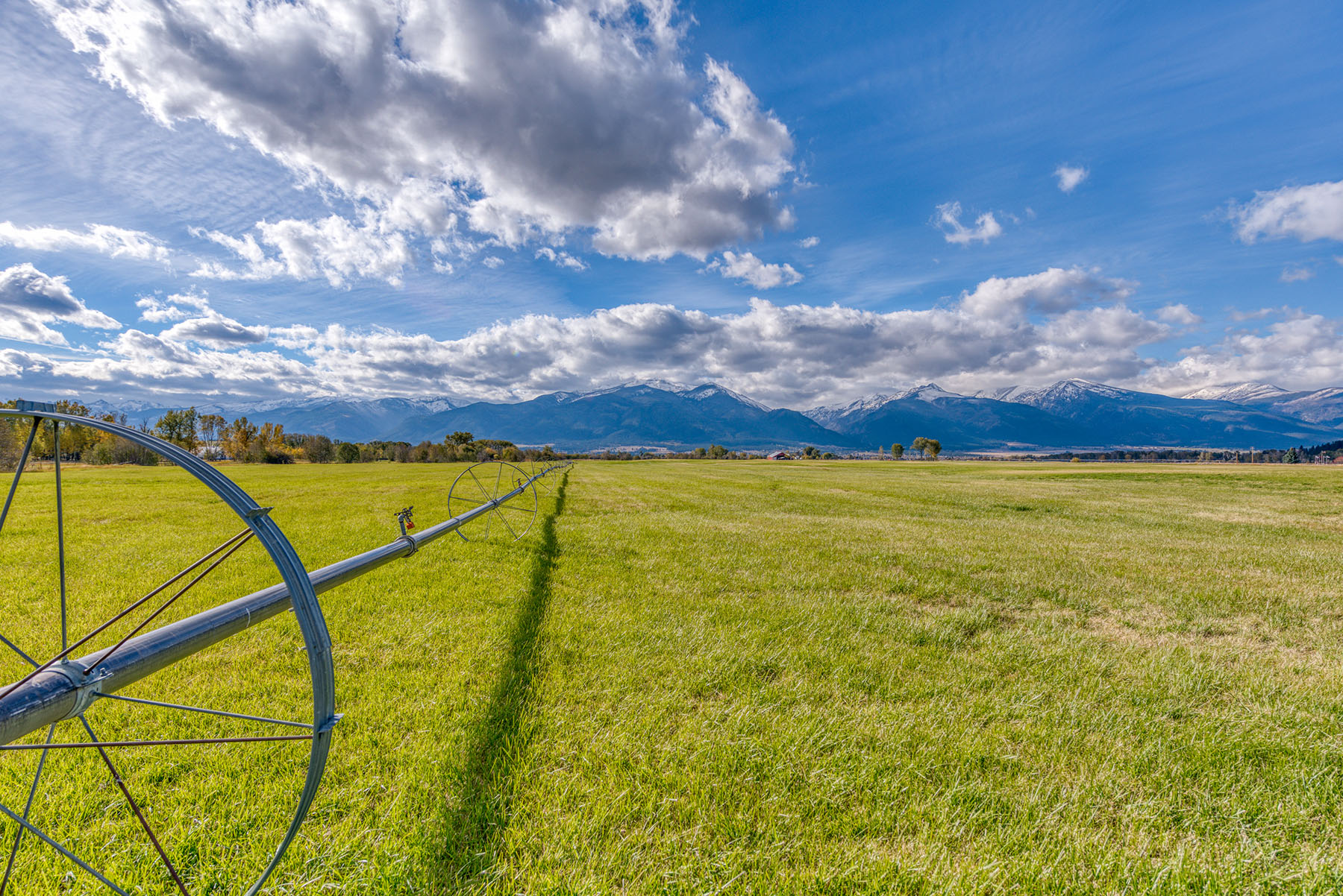Circle L Ranch property picture 85 of 104