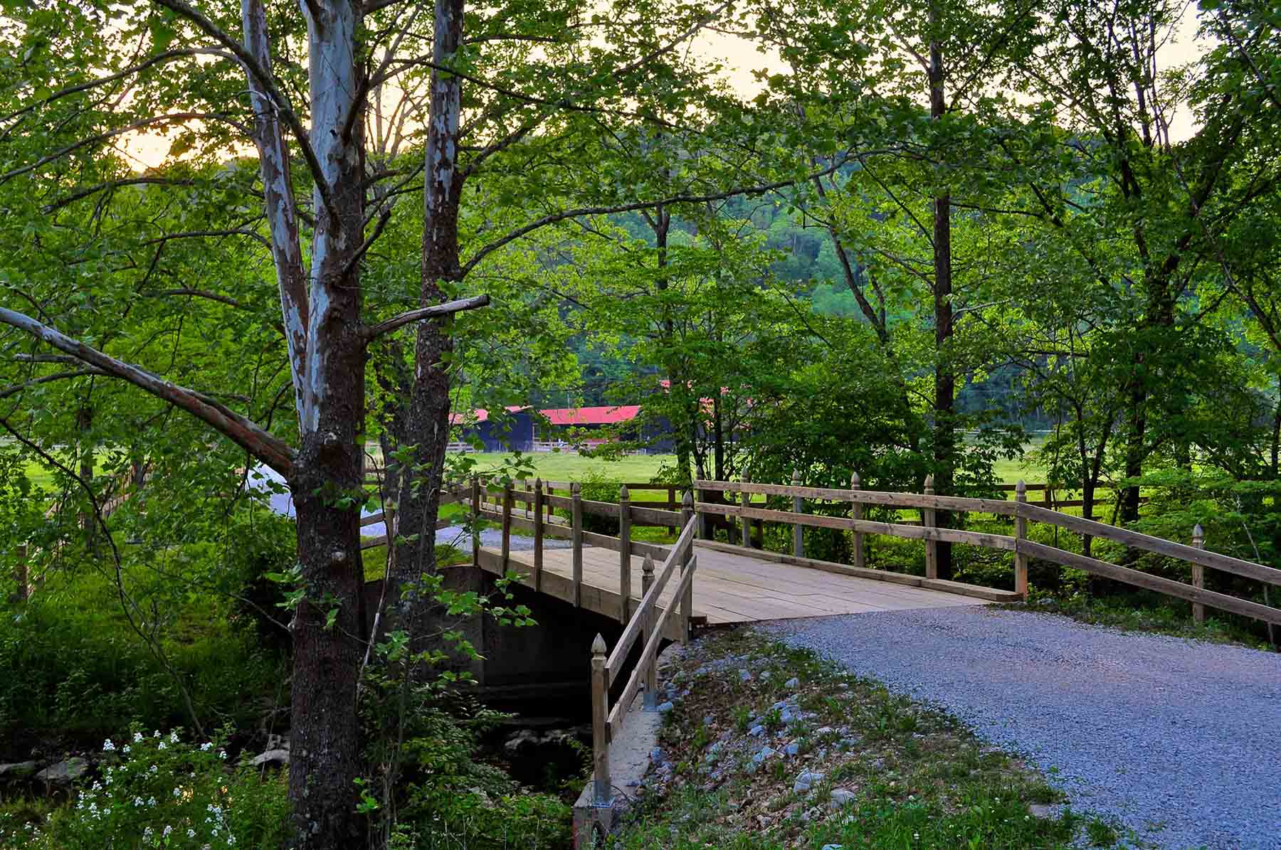 Horse Farm property picture 13 of 13