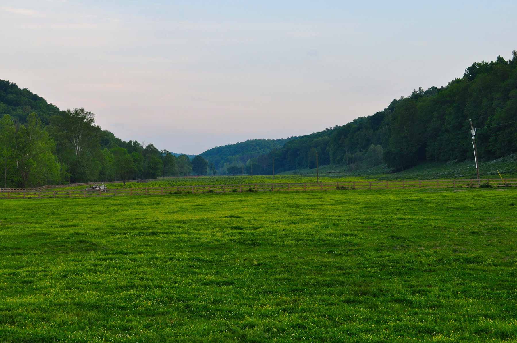 Horse Farm property picture 2 of 13