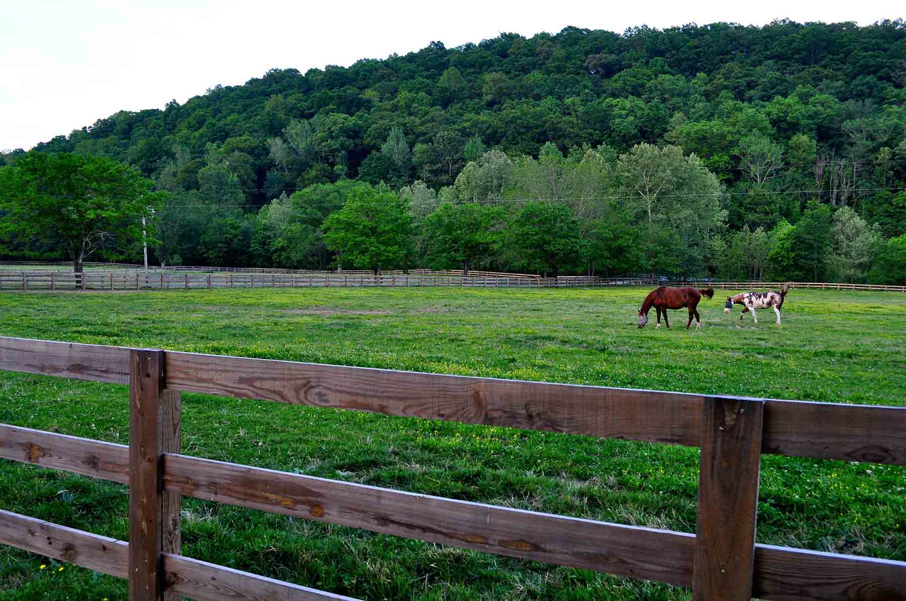 Horse Farm property picture 3 of 13