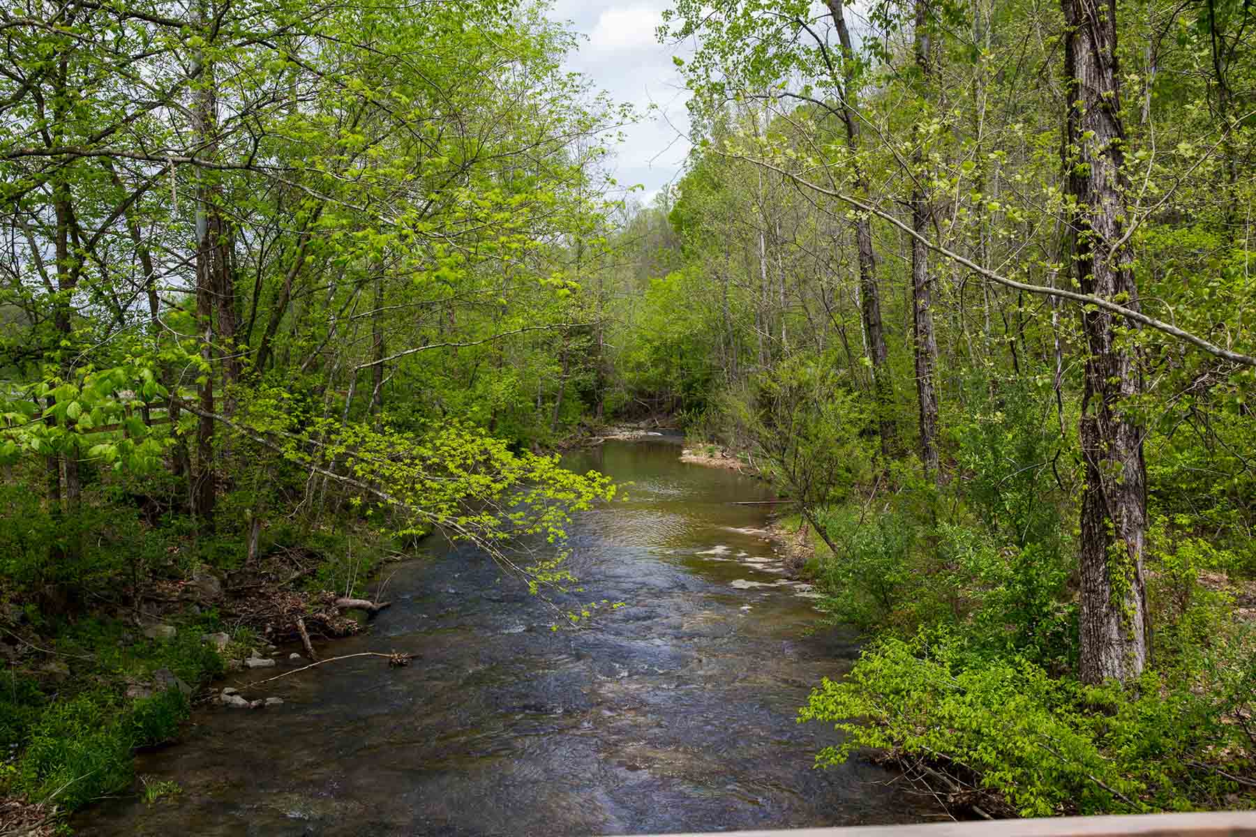 Horse Farm property picture 5 of 13