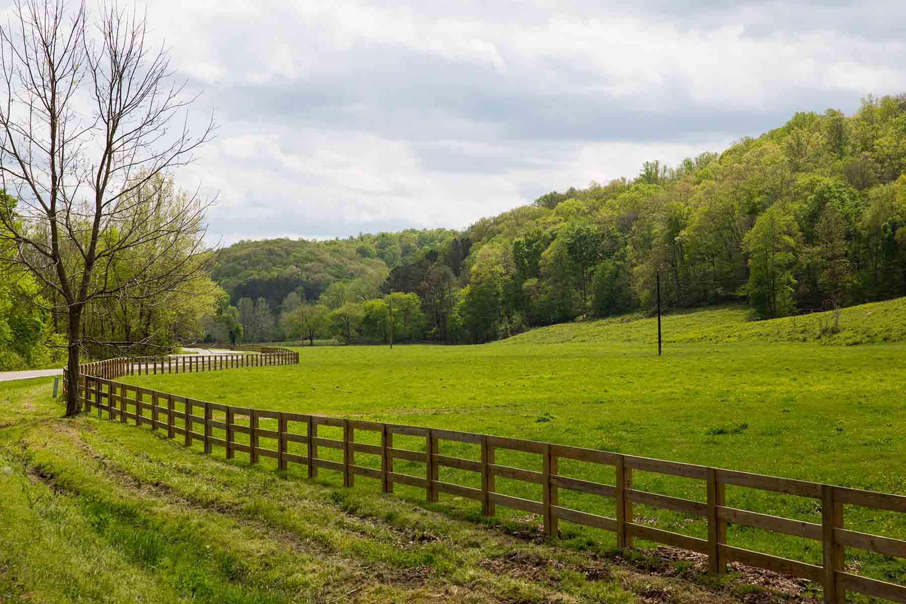 Horse Farm property picture 7 of 13