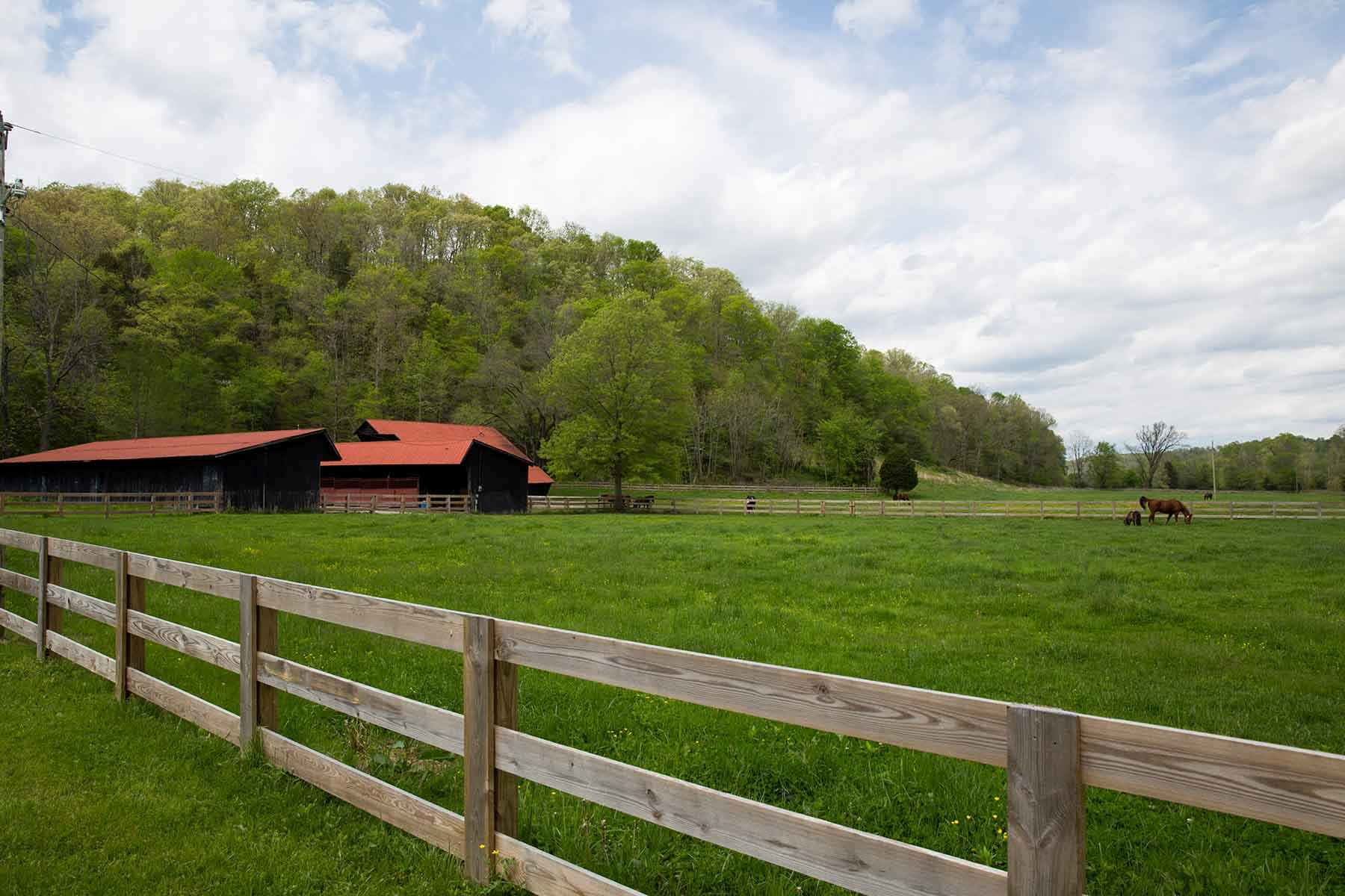 Horse Farm property picture 11 of 13