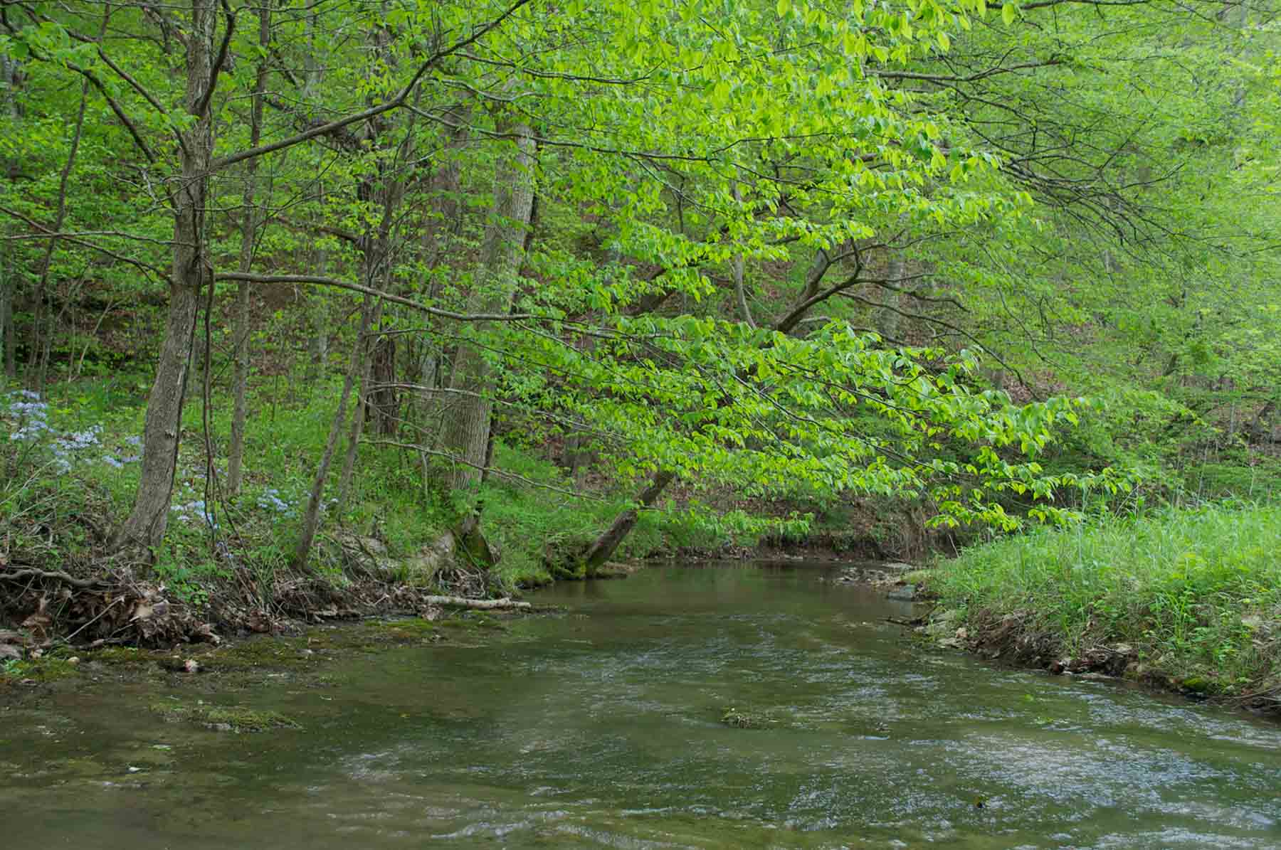 East Fork Farm property picture 2 of 7