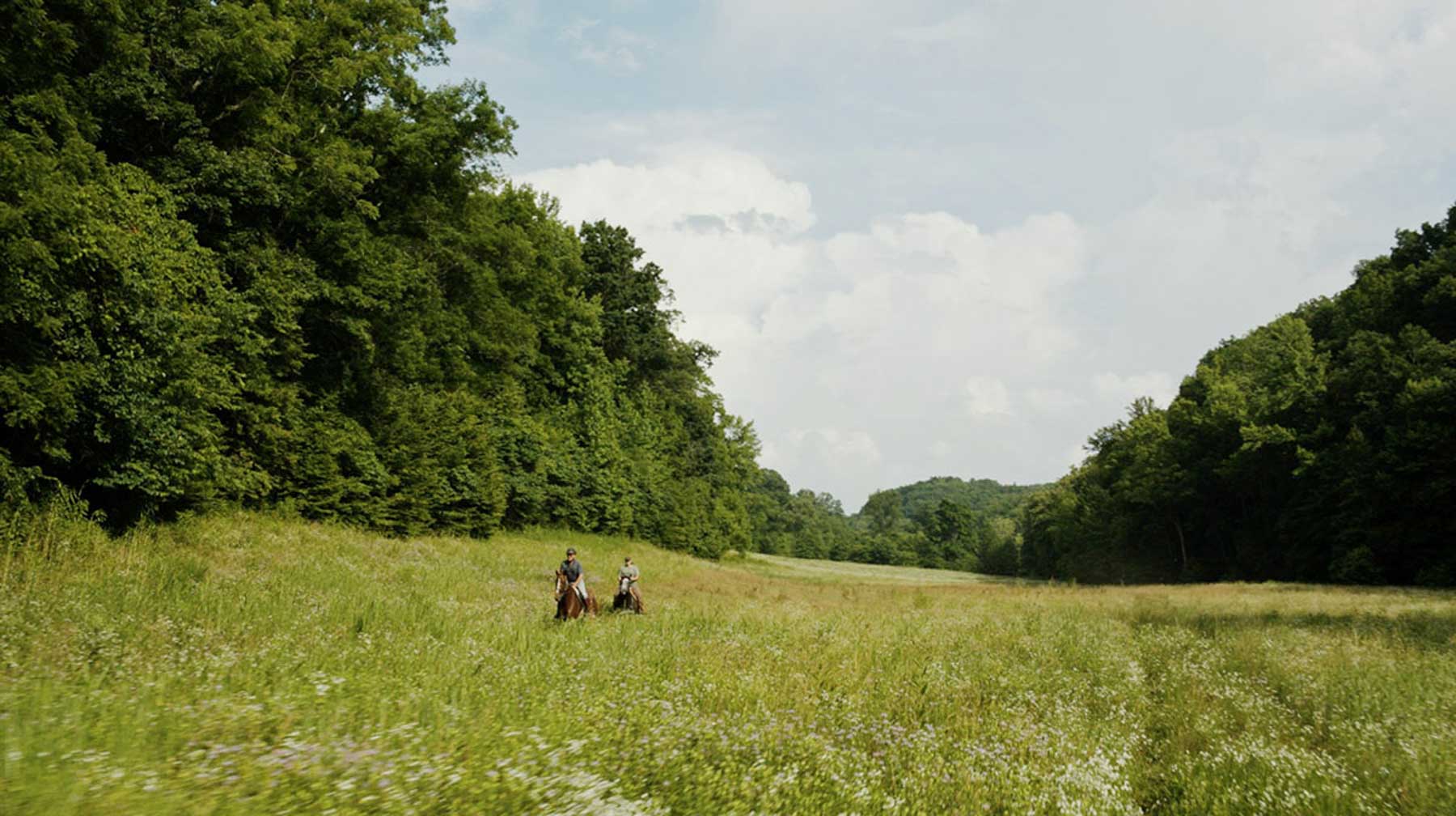 East Fork Farm property picture 4 of 7