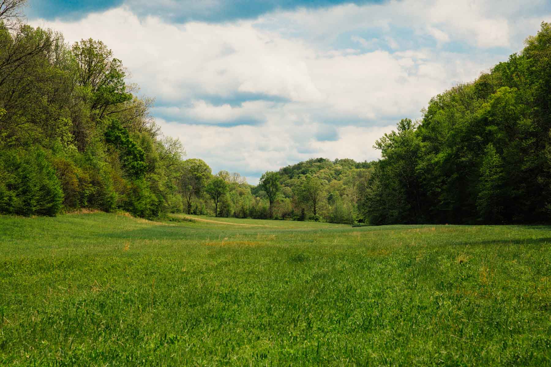 East Fork Farm property picture 5 of 7