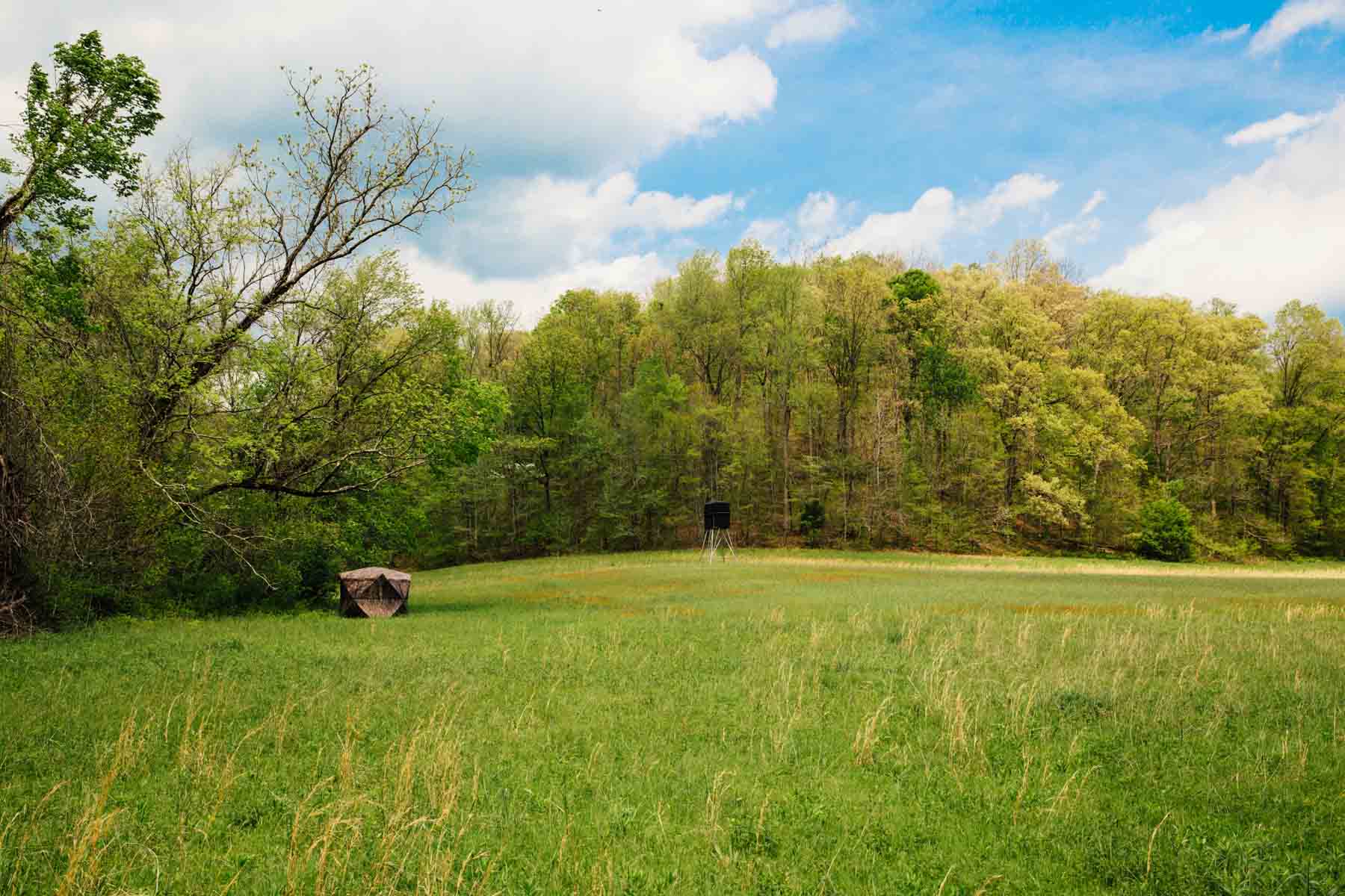 East Fork Farm property picture 6 of 7