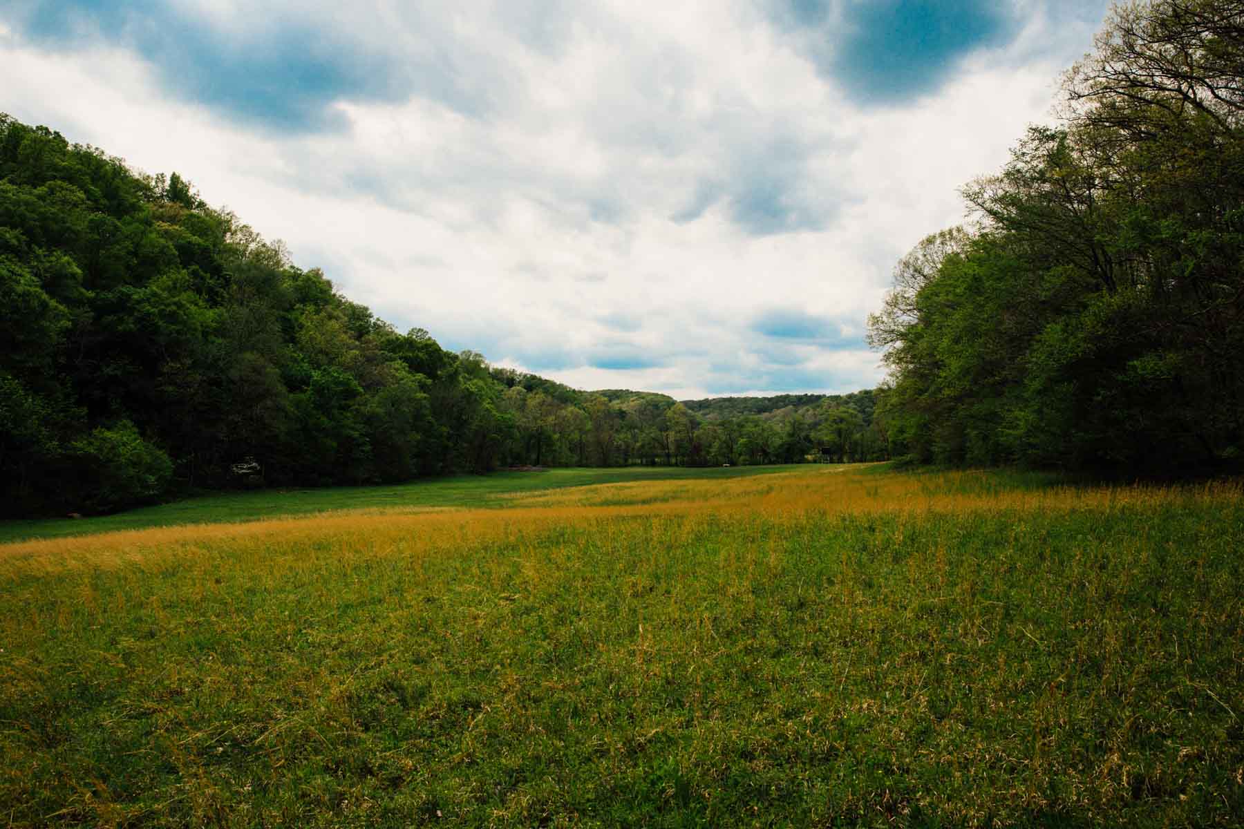 East Fork Farm property picture 7 of 7