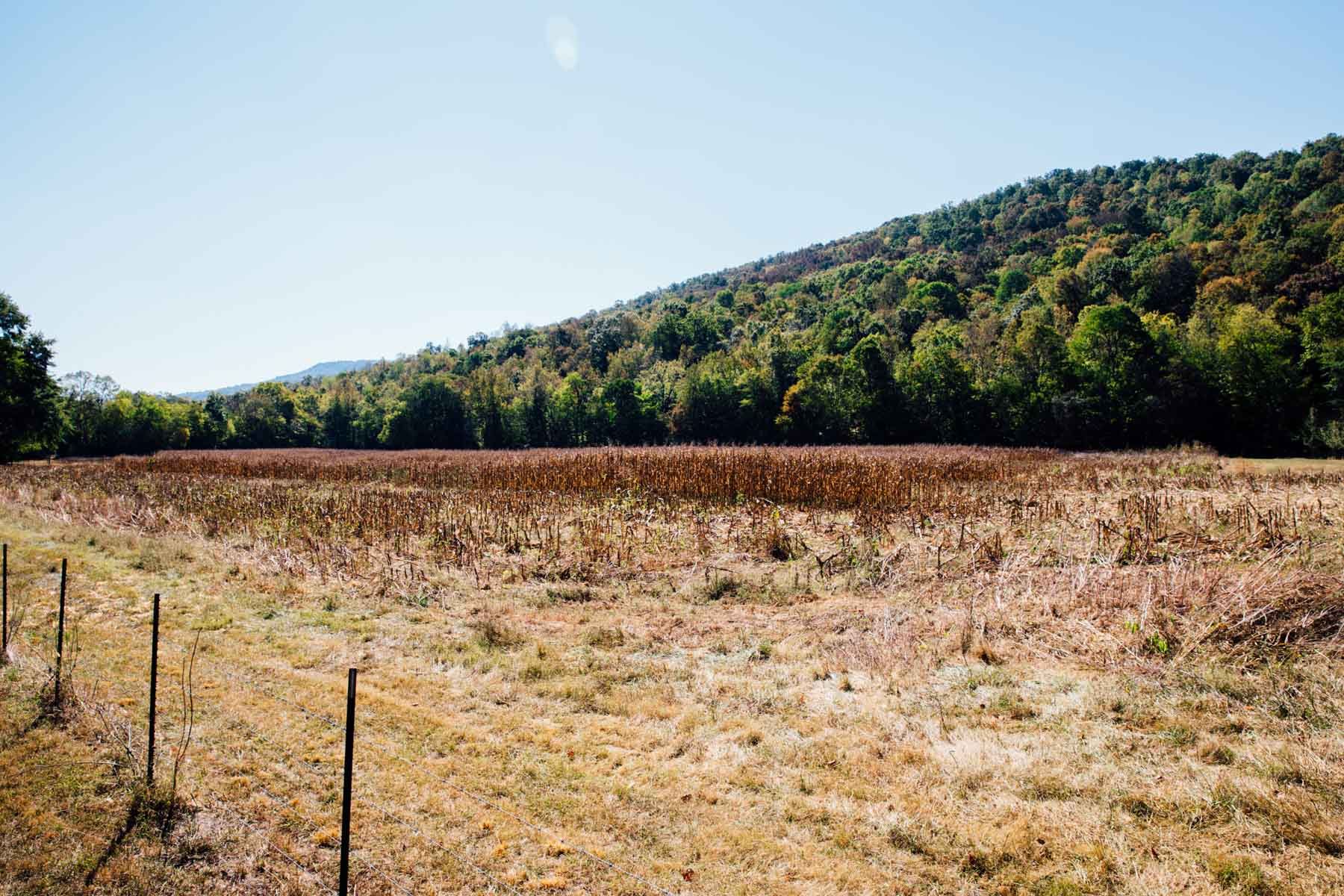 Bennett's Cove property picture 13 of 33