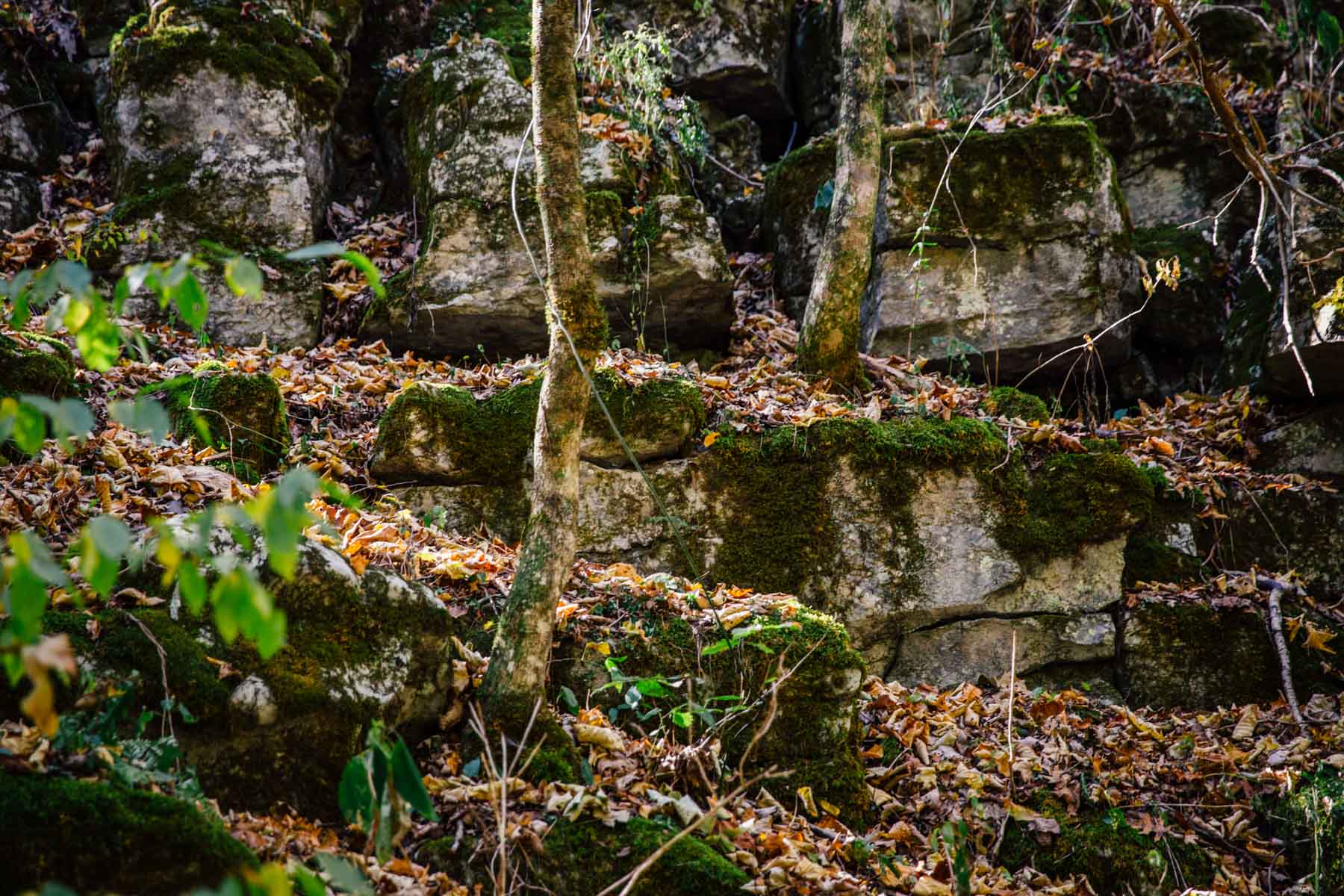 Bennett's Cove property picture 22 of 33