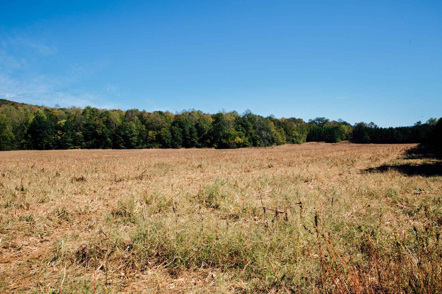 Bennett's Cove property picture 8 of 33