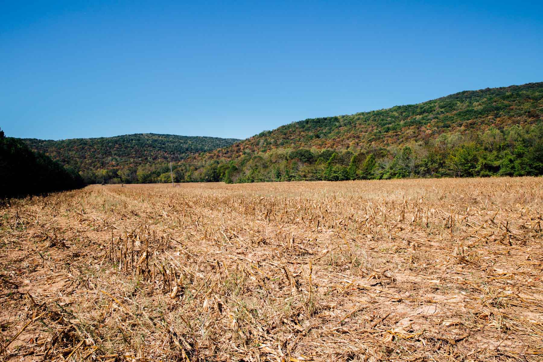 Bennett's Cove property picture 9 of 33