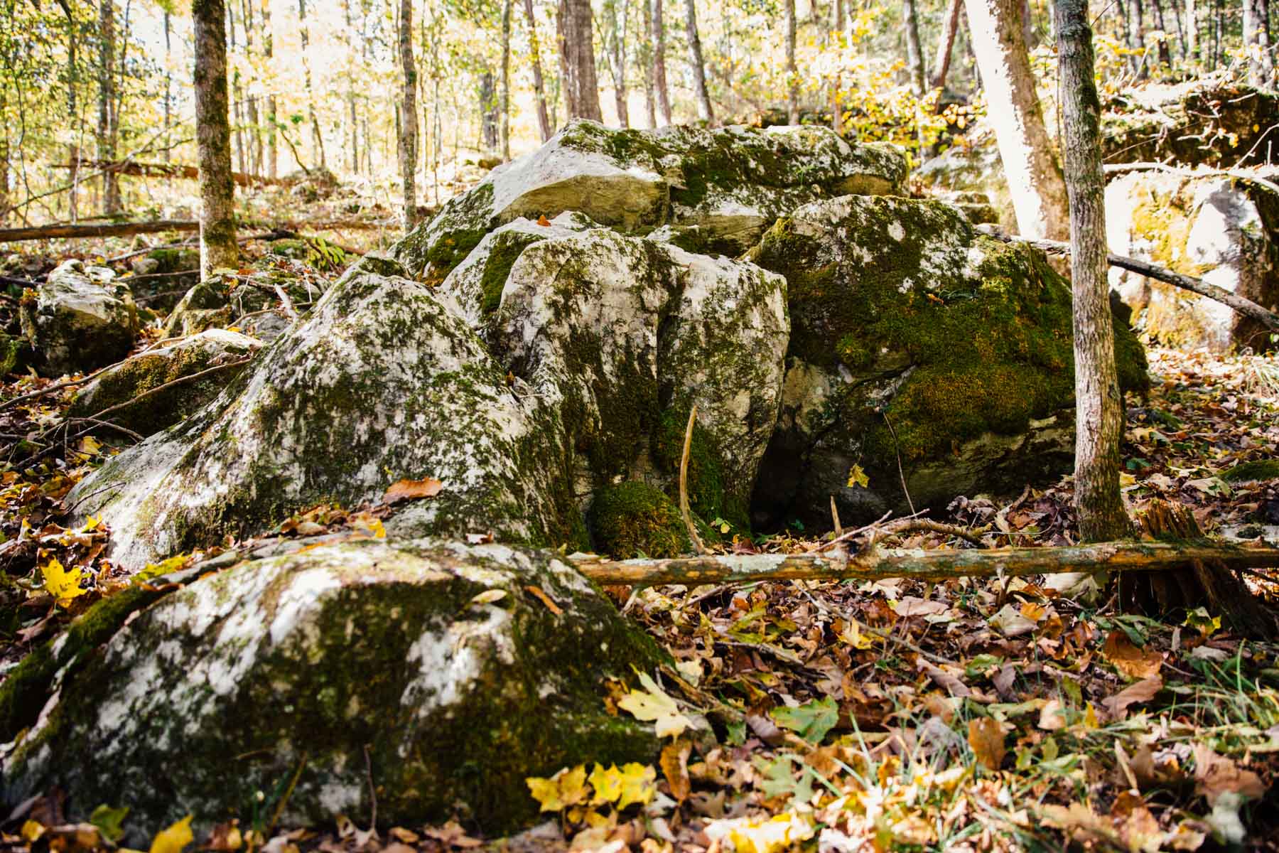 Bennett's Cove property picture 21 of 33