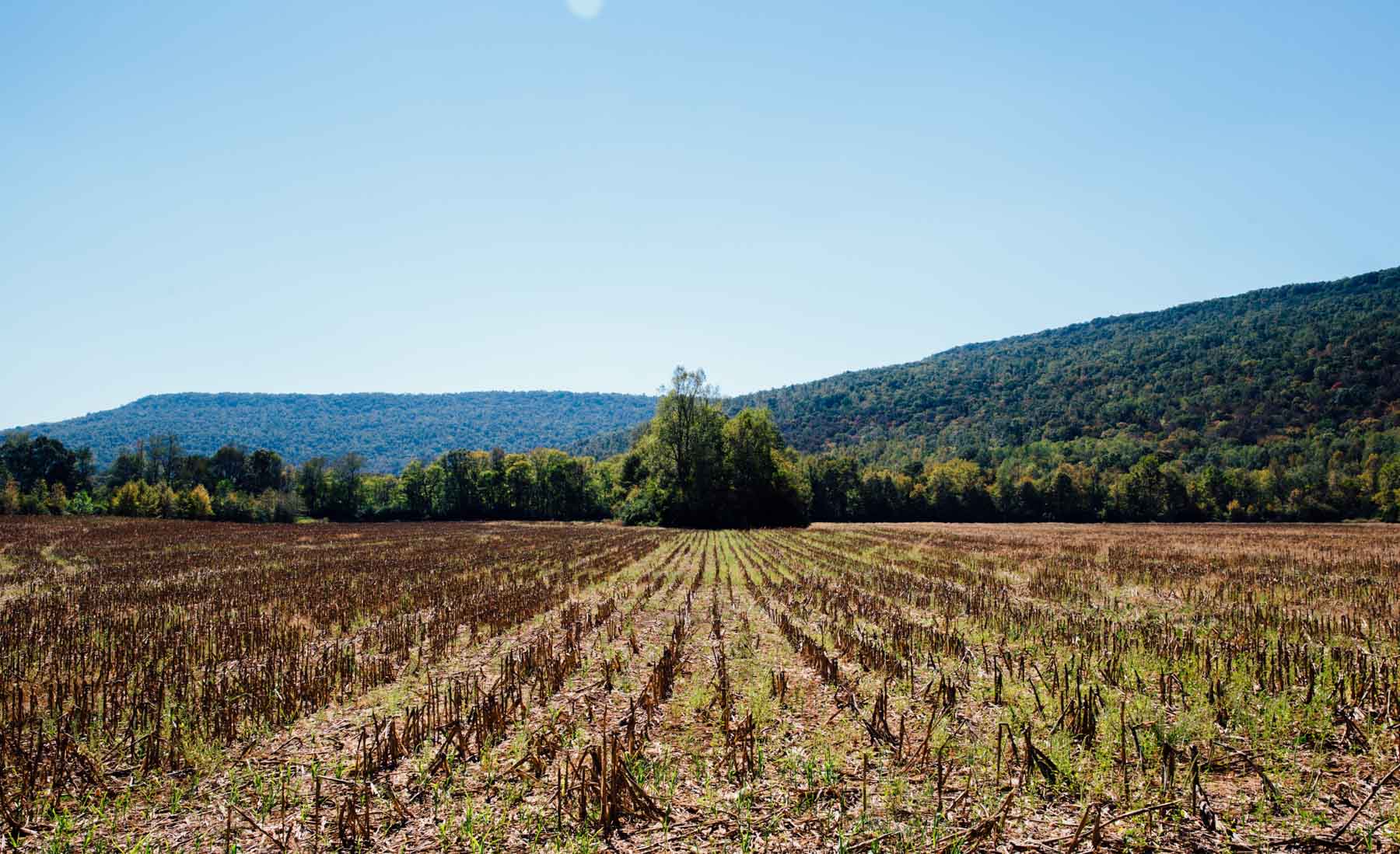 Bennett's Cove property picture 4 of 33
