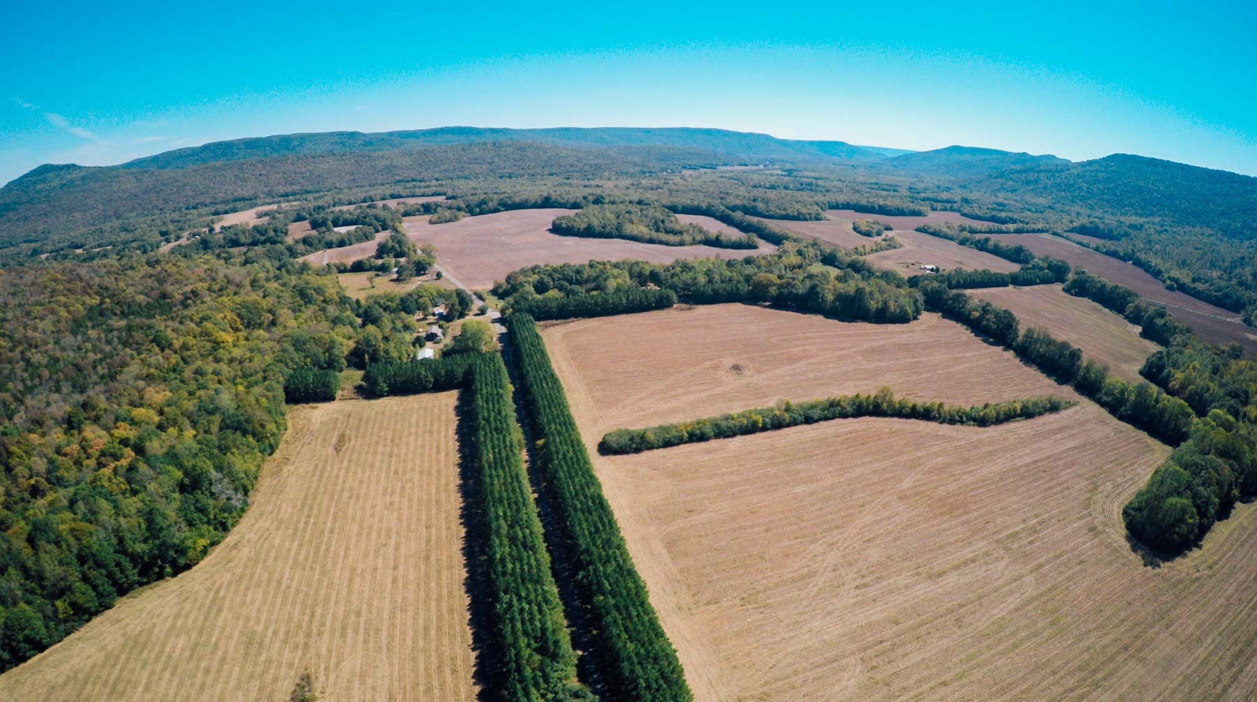 Bennett's Cove property picture 5 of 33