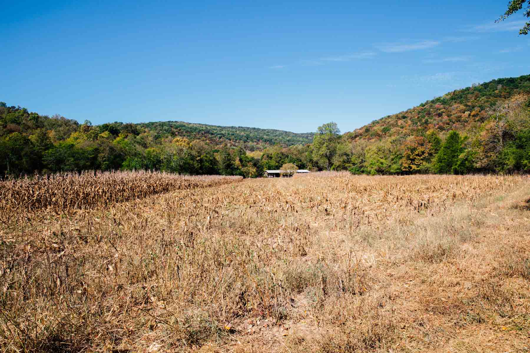 Bennett's Cove property picture 15 of 33