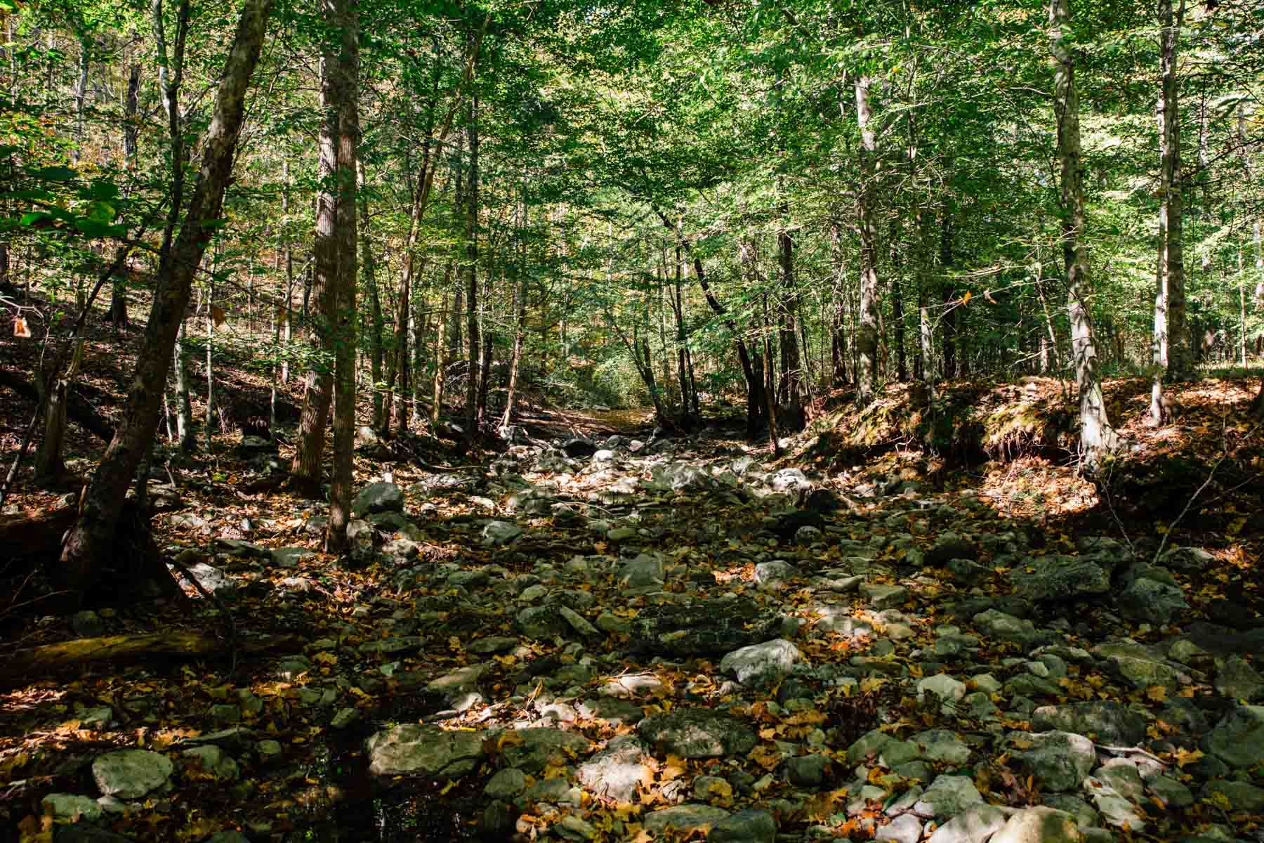 Bennett's Cove property picture 19 of 33