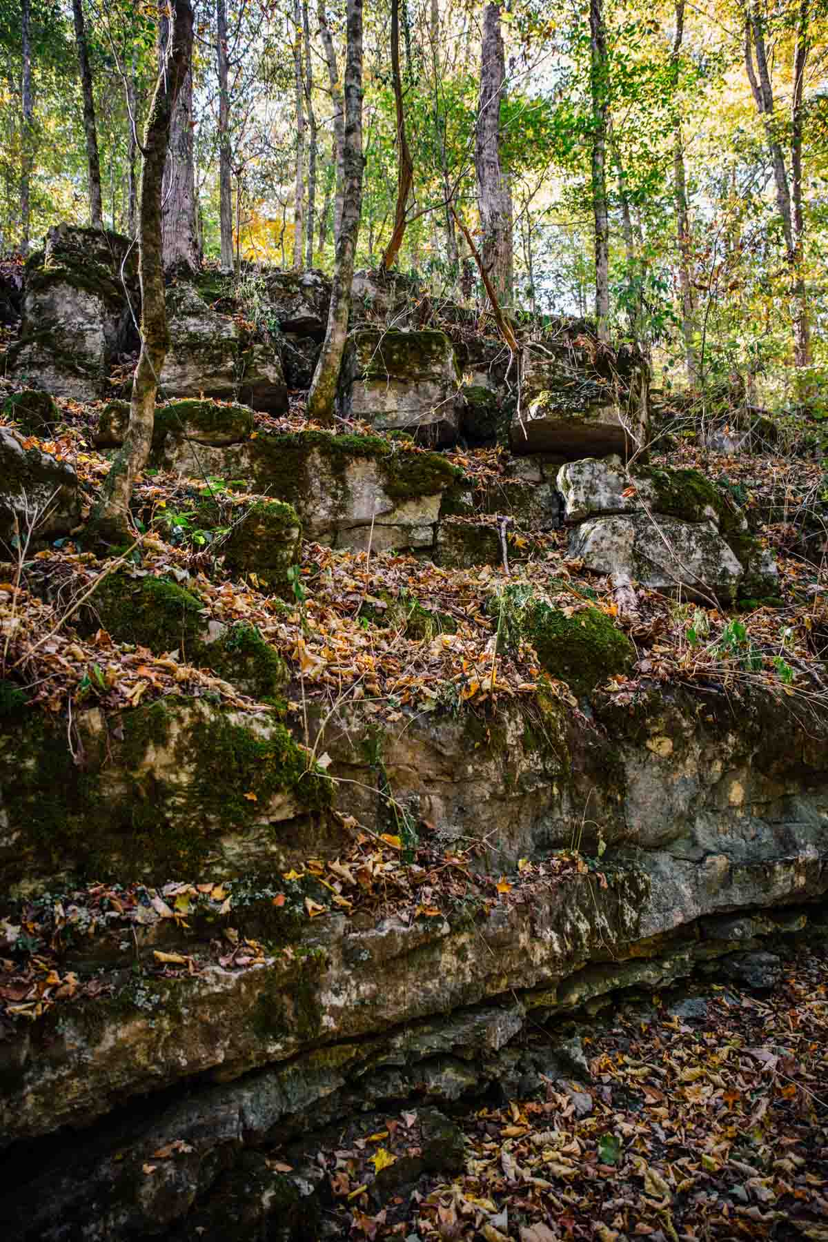 Bennett's Cove property picture 23 of 33