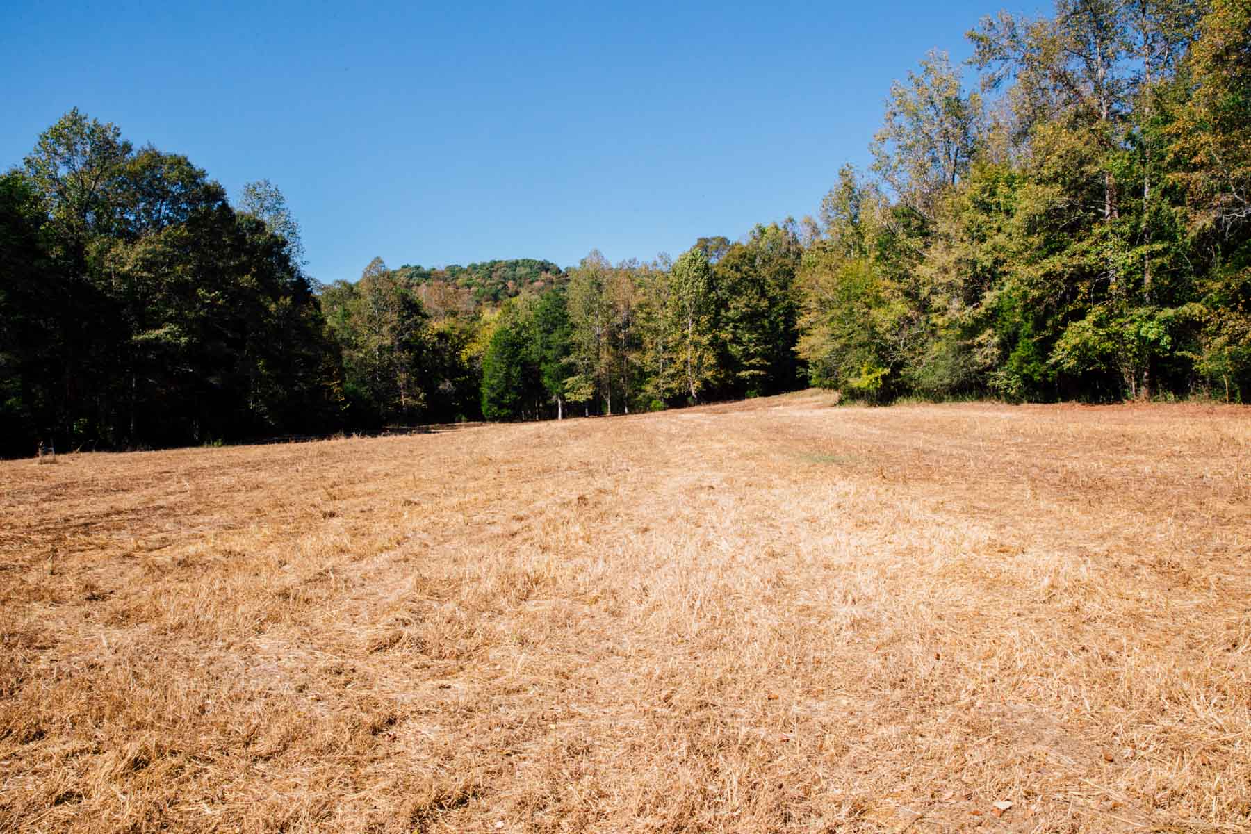 Bennett's Cove property picture 10 of 33