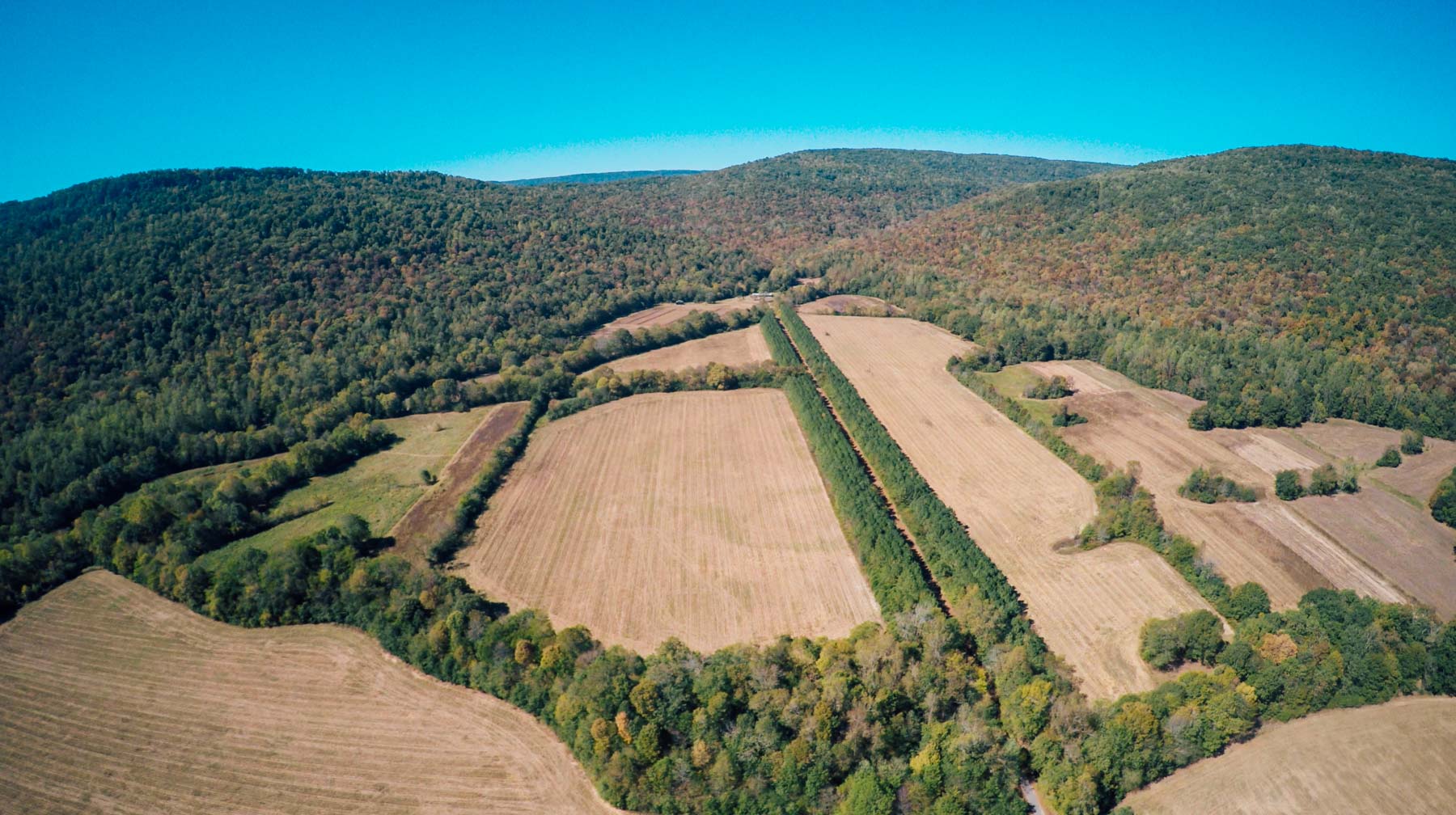 Bennett's Cove property picture 6 of 33