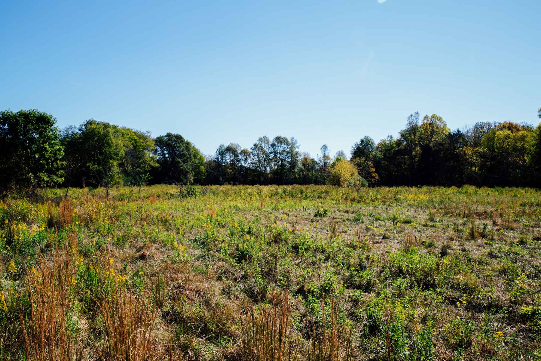 Bennett's Cove property picture 18 of 33