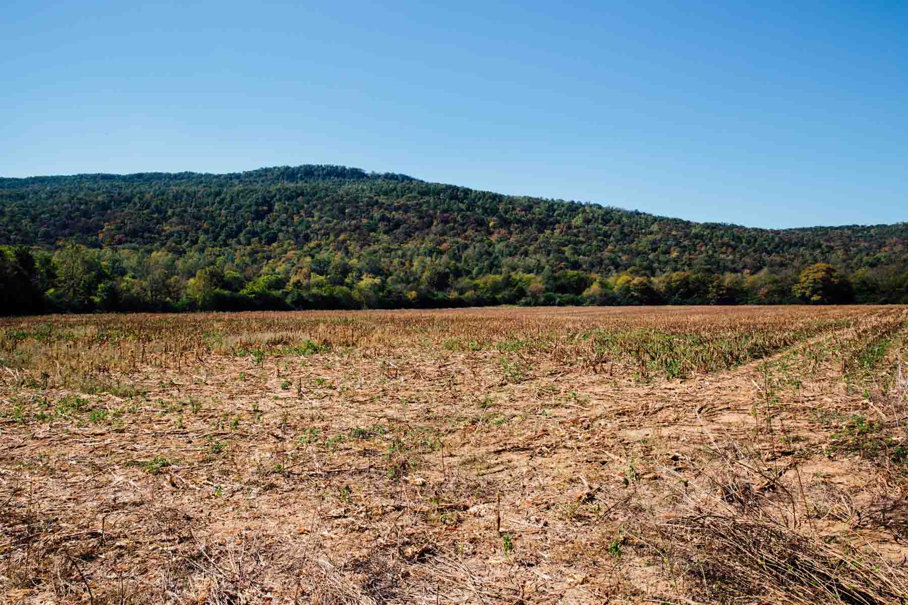 Bennett's Cove property picture 2 of 33