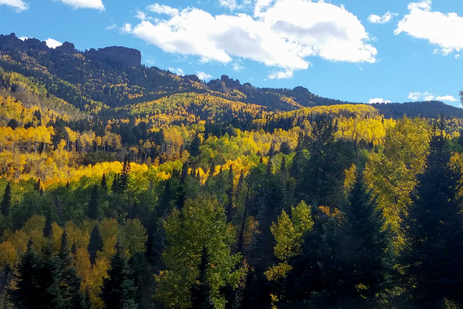 Stealey Mountain Ranch property picture 15 of 76