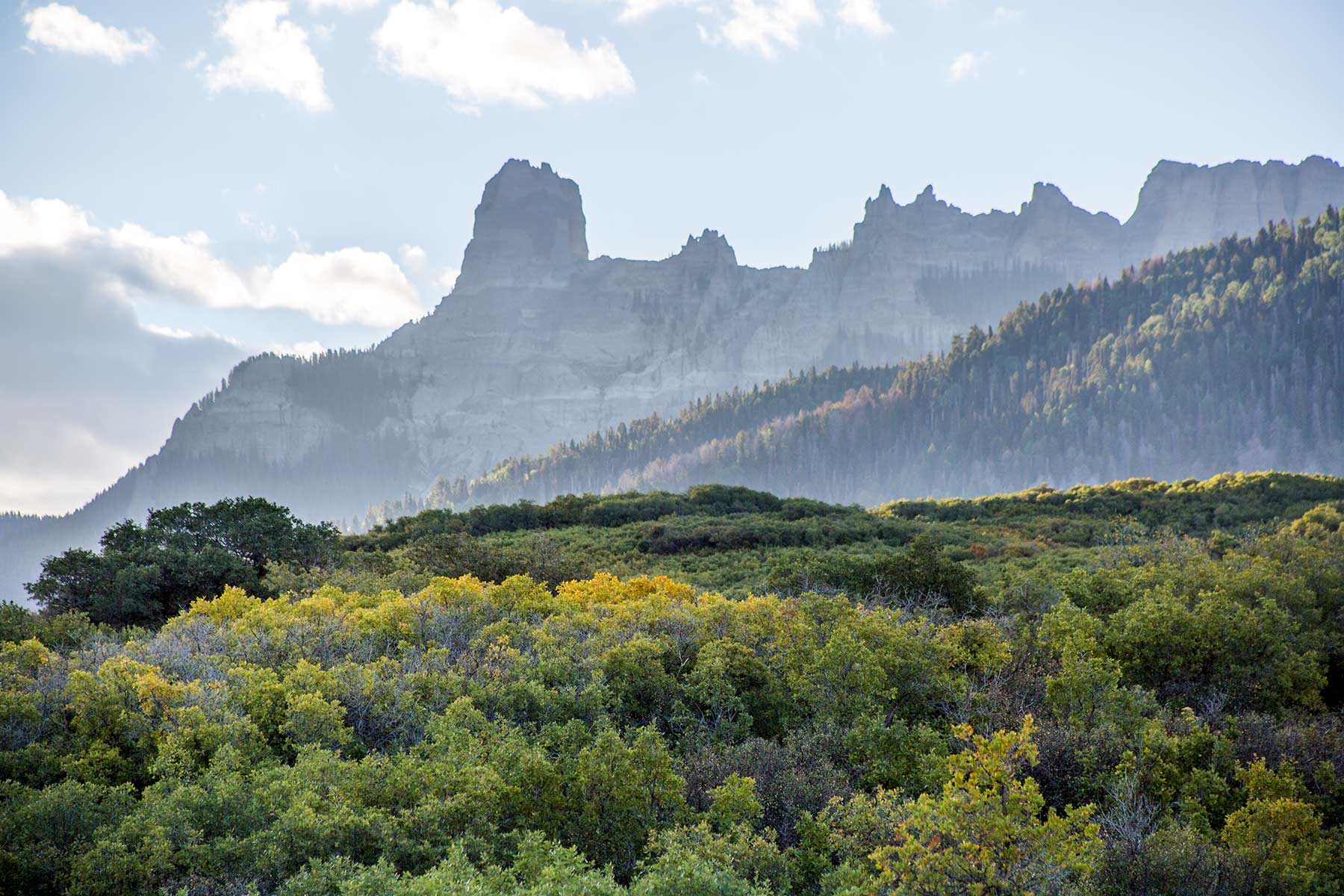 Stealey Mountain Ranch property picture 13 of 76