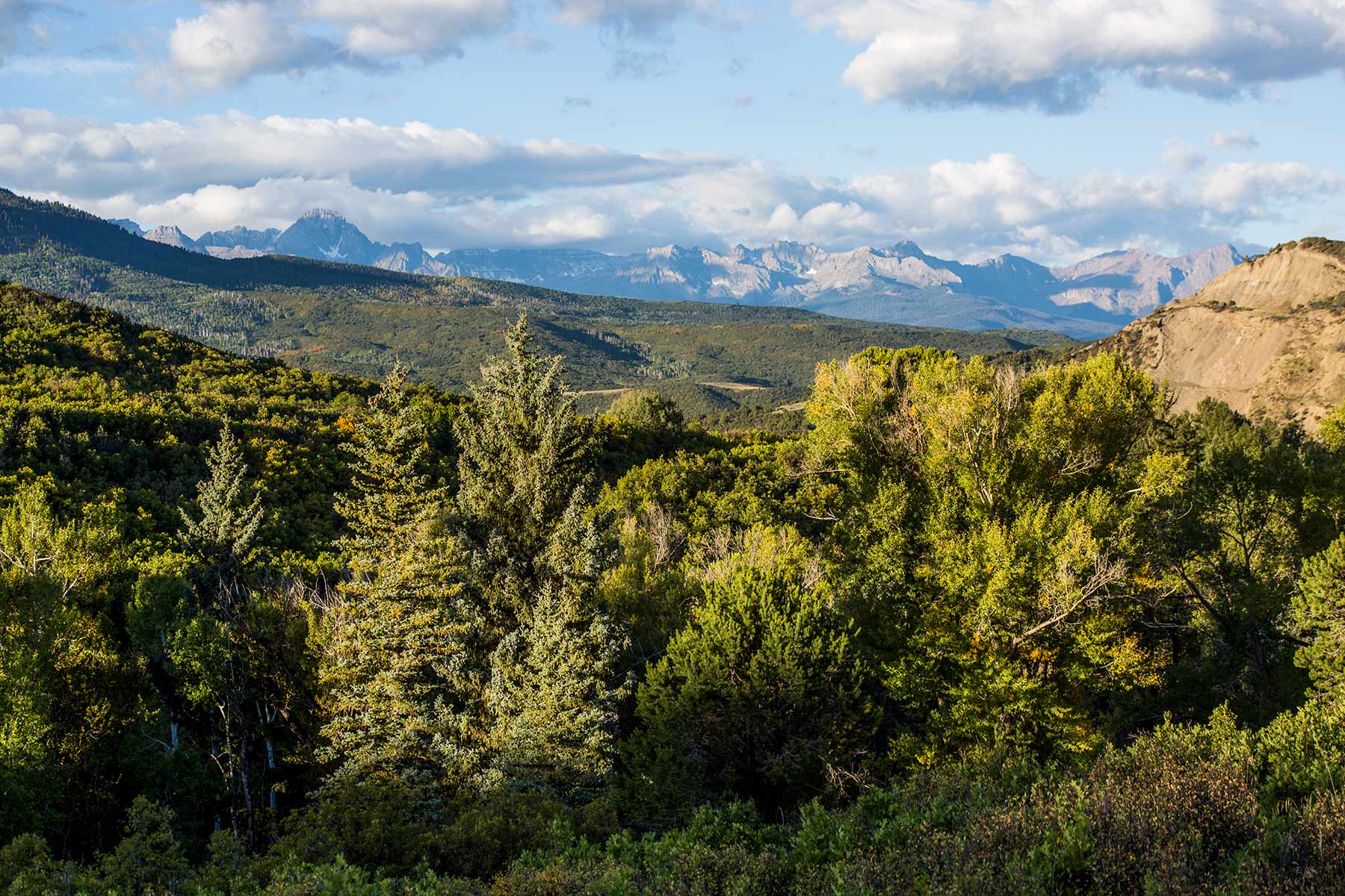 Stealey Mountain Ranch property picture 17 of 76