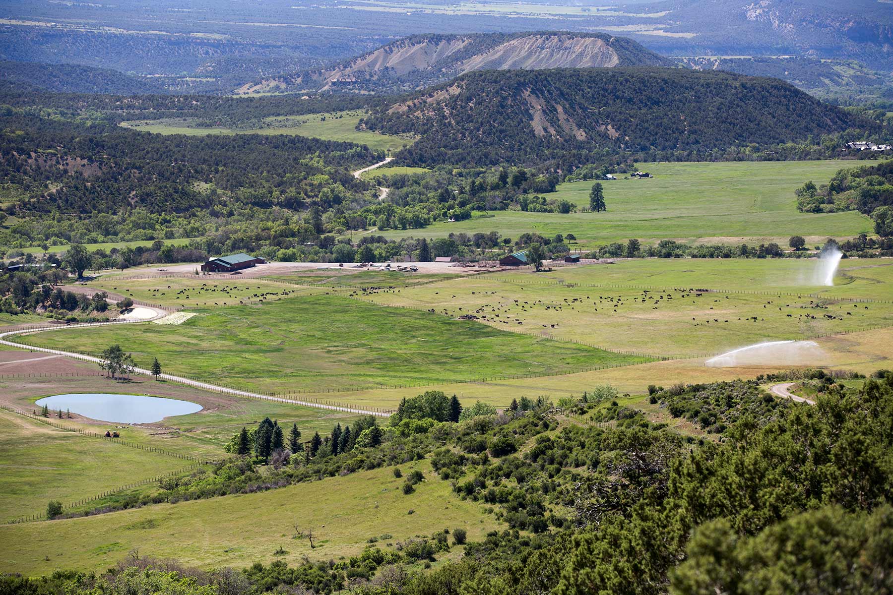 Stealey Mountain Ranch property picture 63 of 76