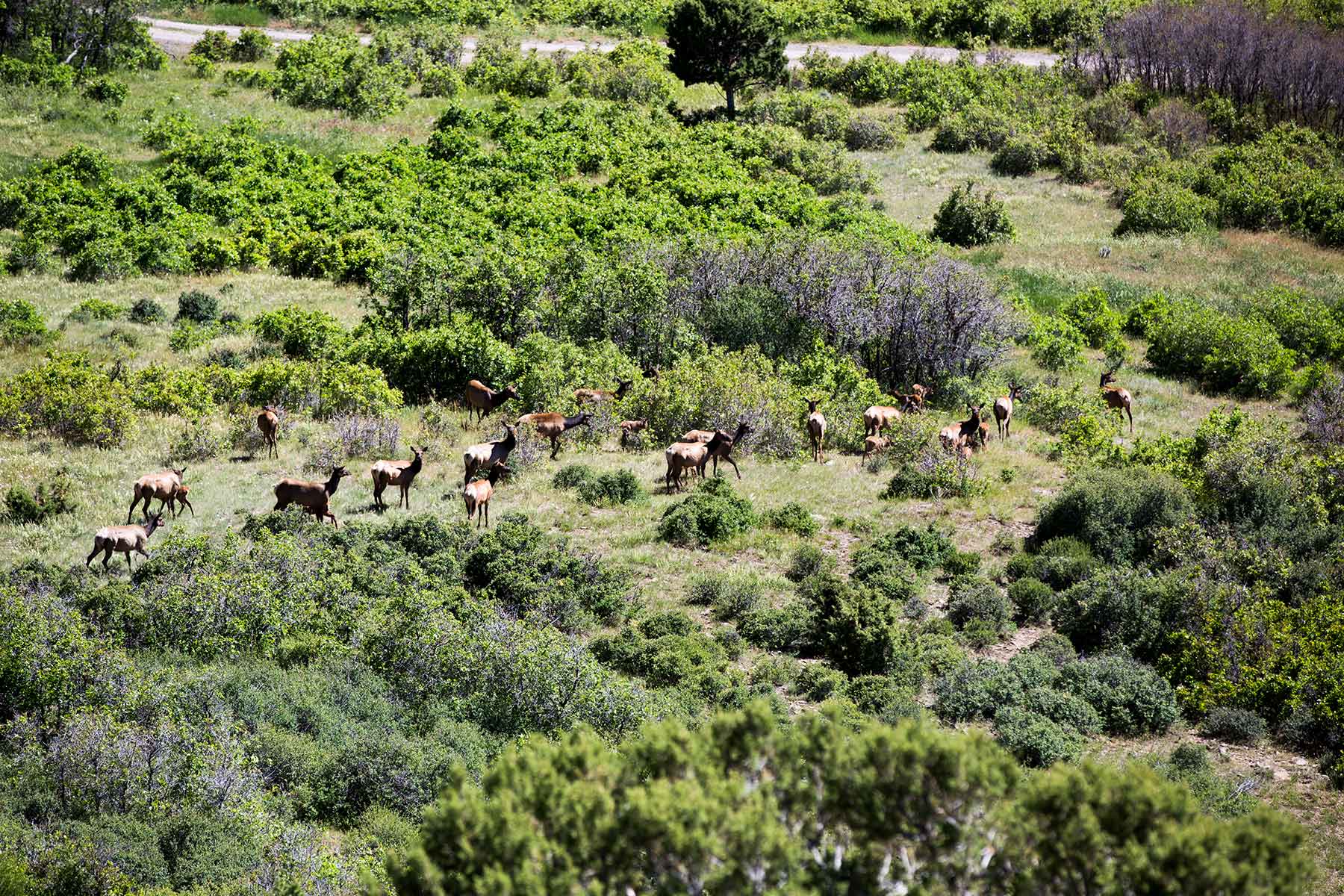 Stealey Mountain Ranch property picture 21 of 76
