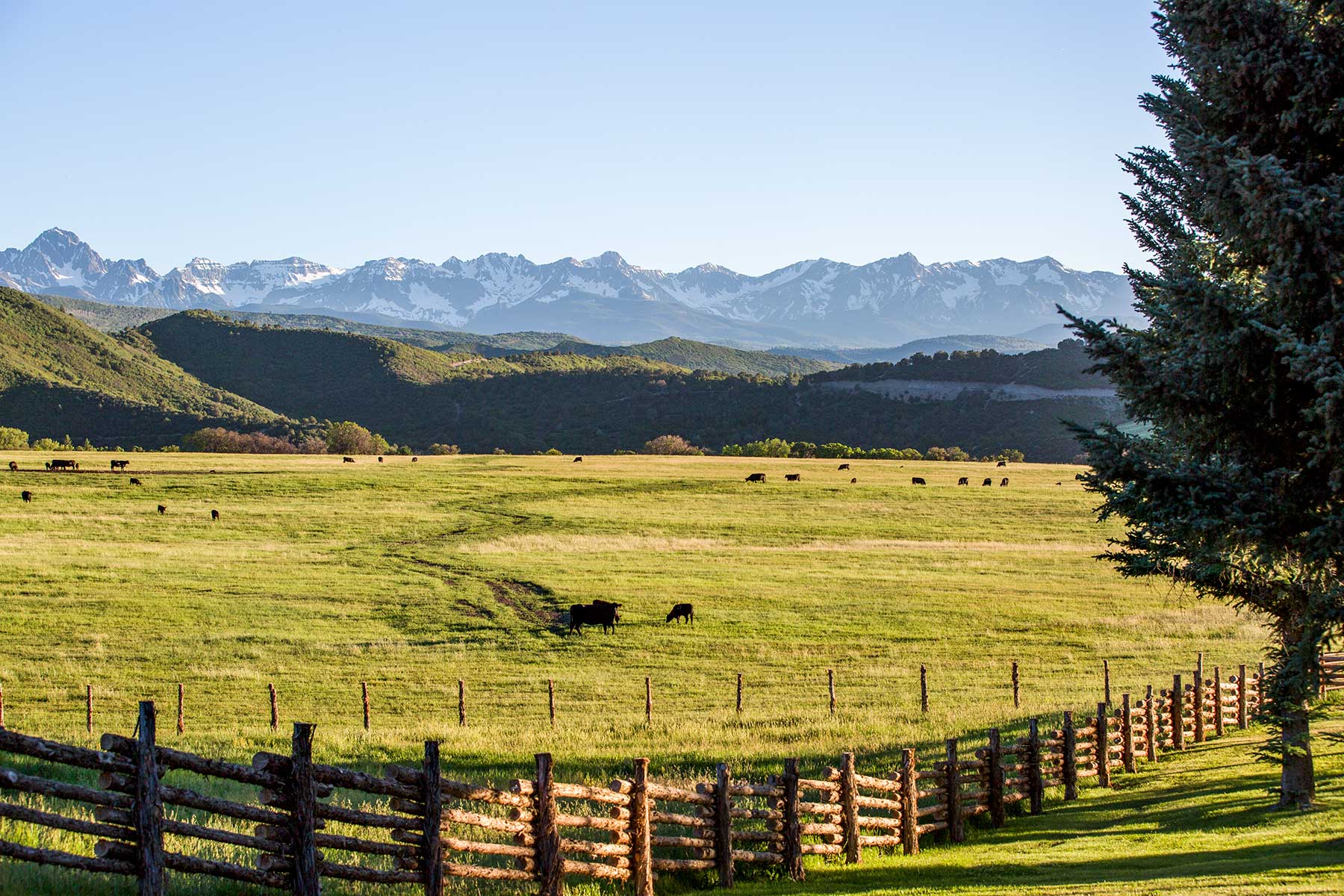 Stealey Mountain Ranch property picture 65 of 76