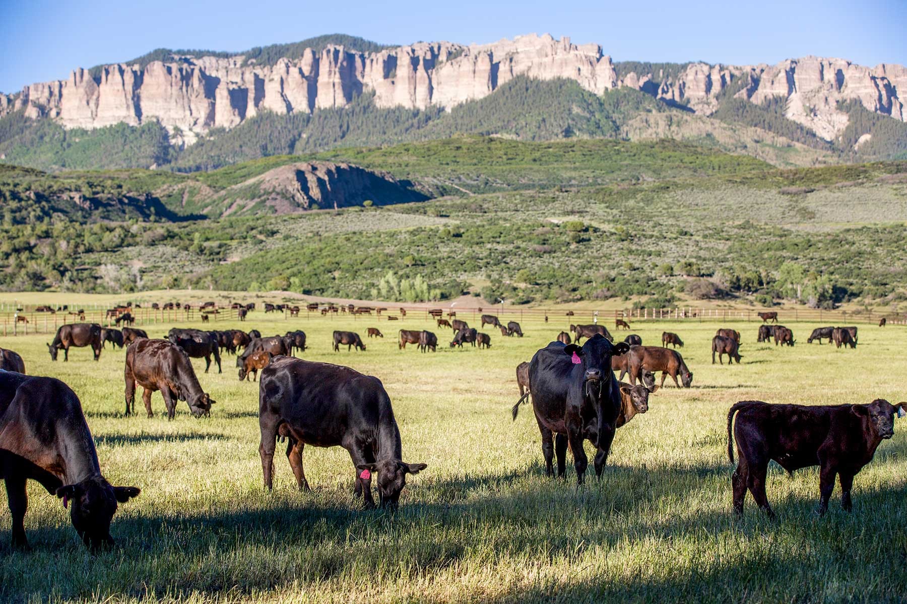 Stealey Mountain Ranch property picture 61 of 76