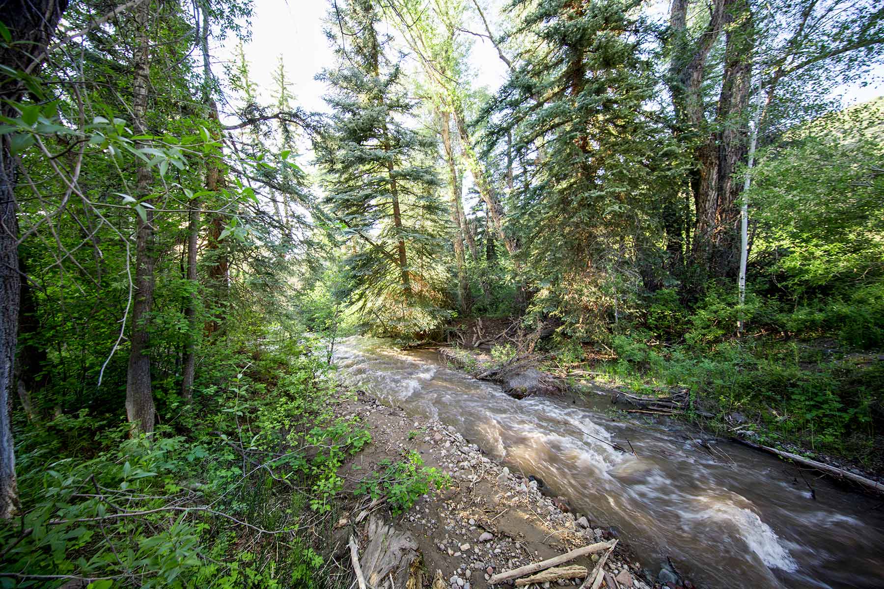 Stealey Mountain Ranch property picture 60 of 76