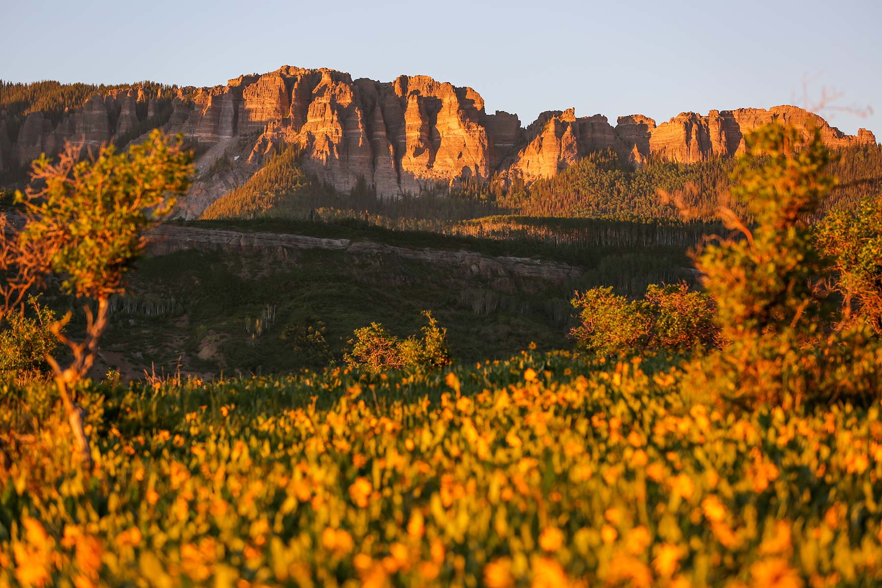 Stealey Mountain Ranch property picture 7 of 76