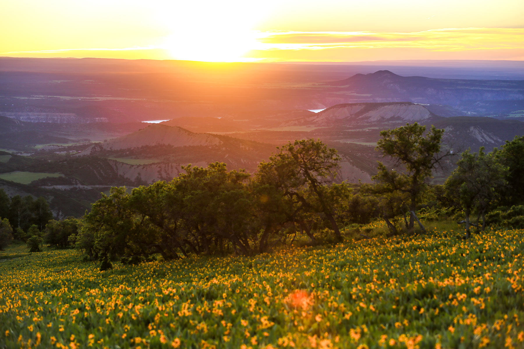 Stealey Mountain Ranch property picture 76 of 76