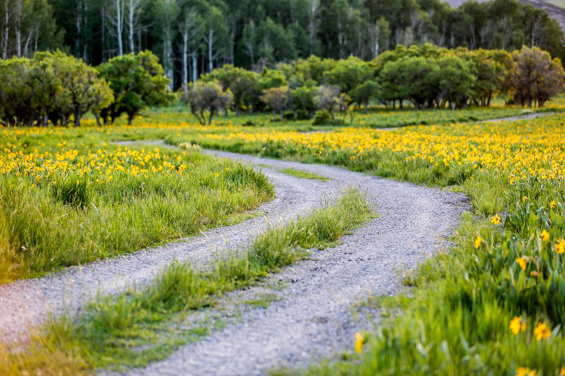 Stealey Mountain Ranch property picture 68 of 76
