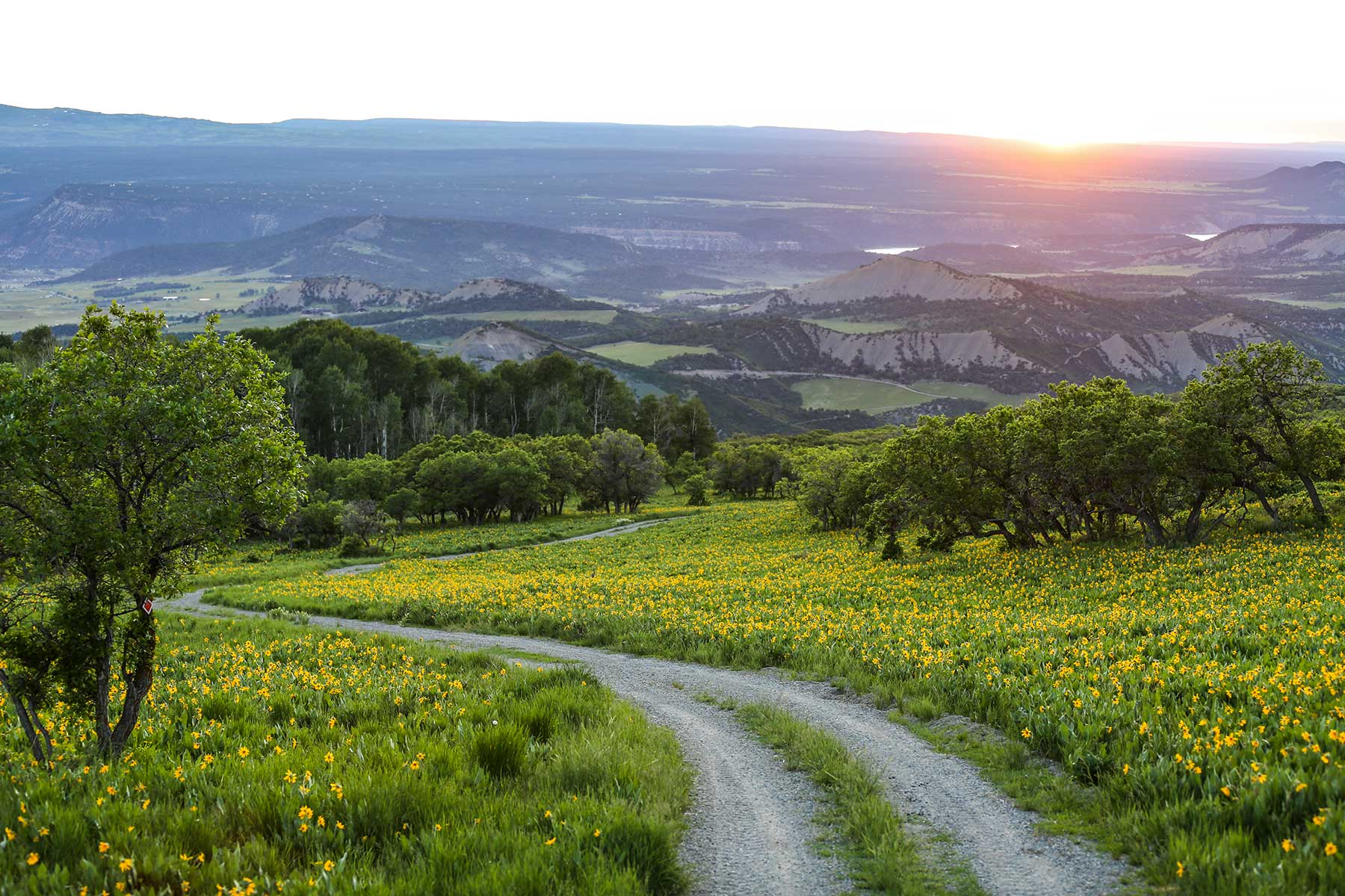 Stealey Mountain Ranch property picture 11 of 76