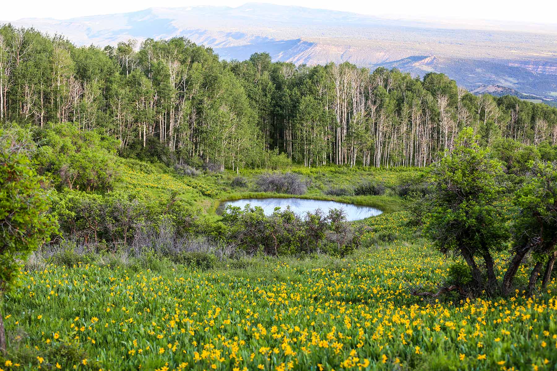 Stealey Mountain Ranch property picture 74 of 76