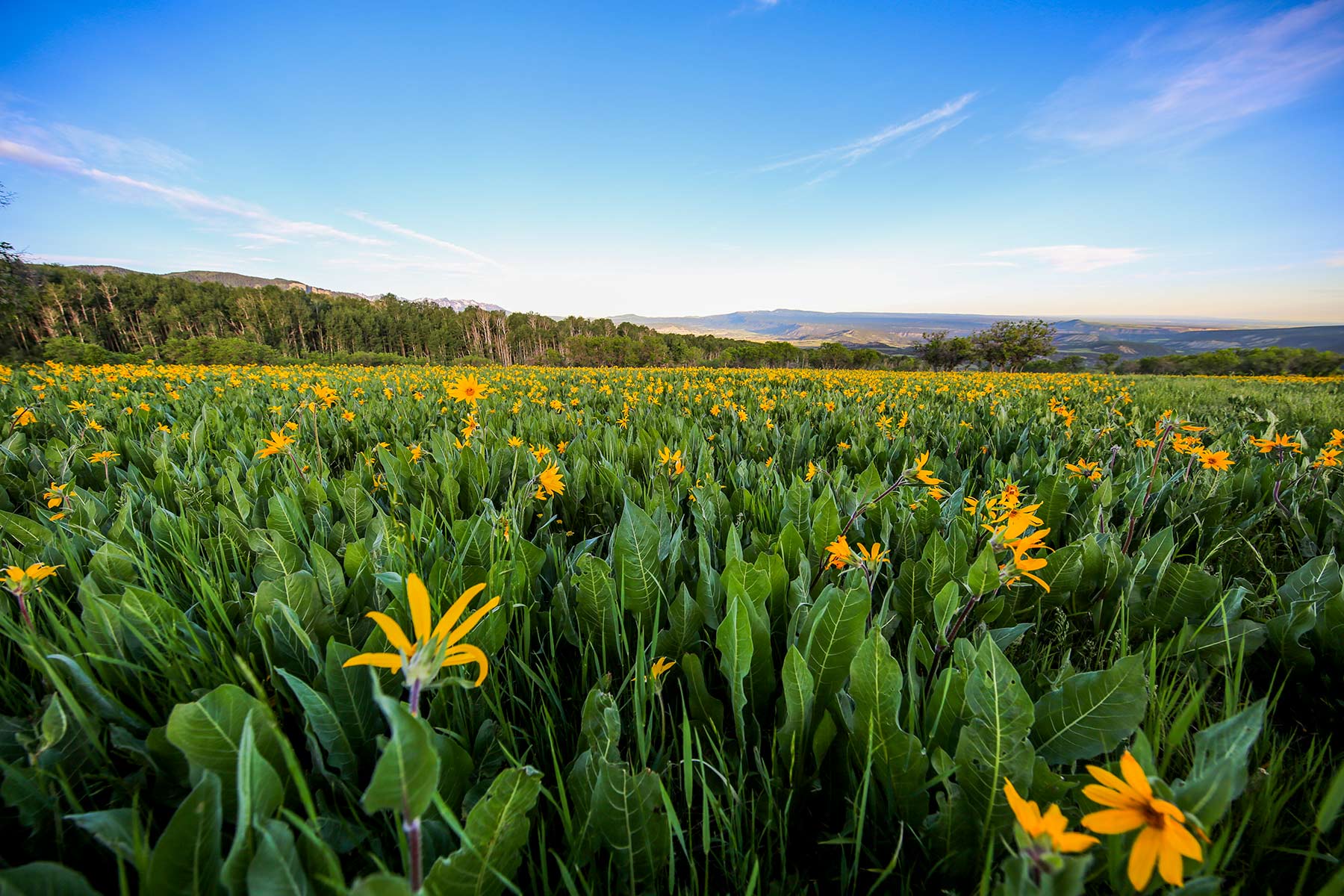 Stealey Mountain Ranch property picture 16 of 76