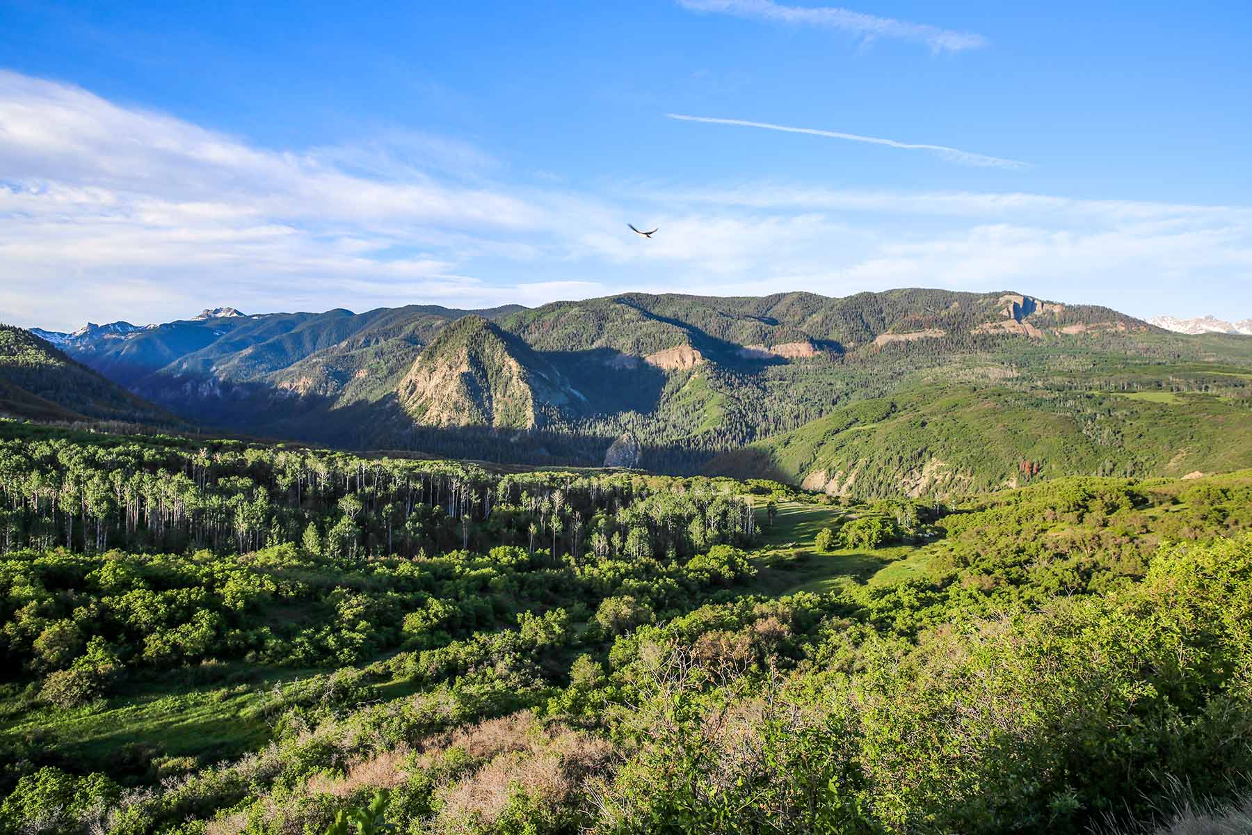 Stealey Mountain Ranch property picture 5 of 76