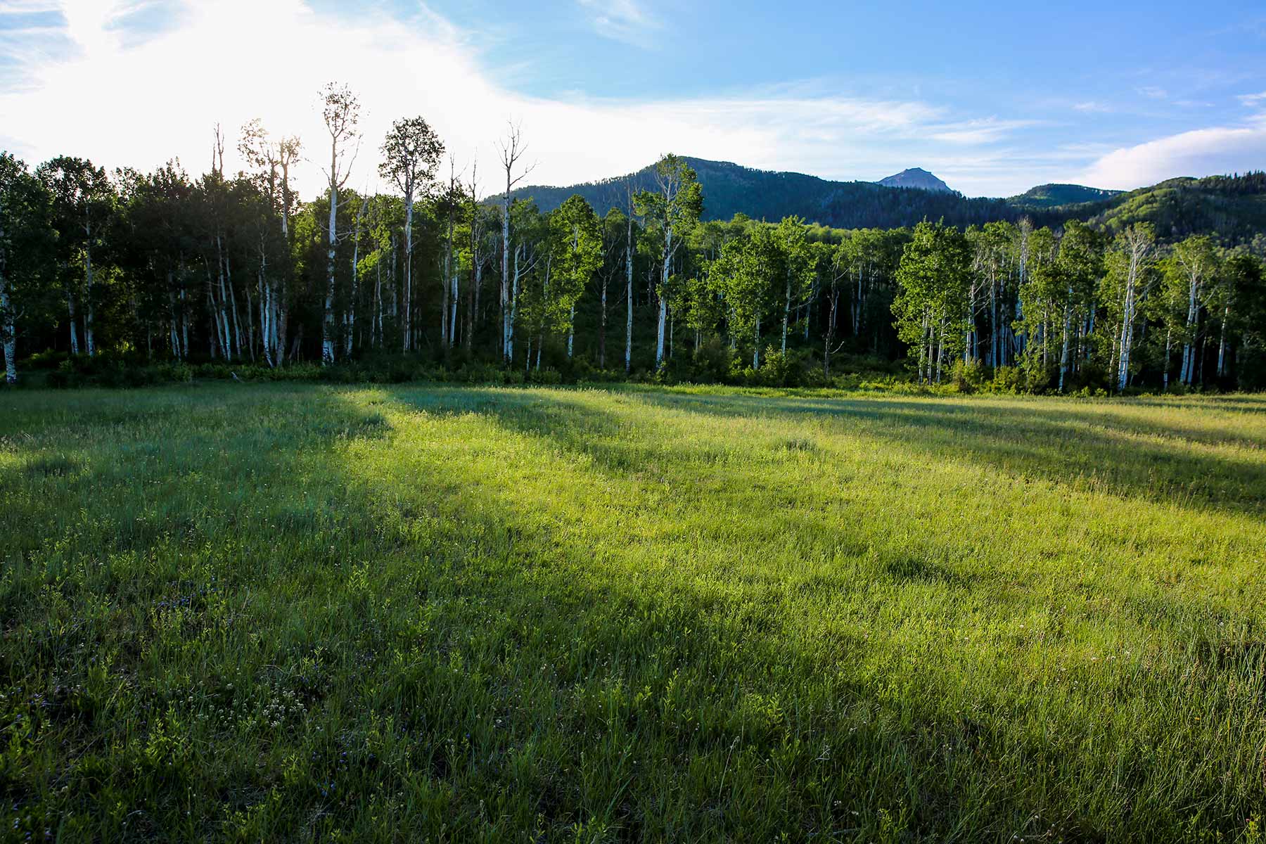 Stealey Mountain Ranch property picture 14 of 76