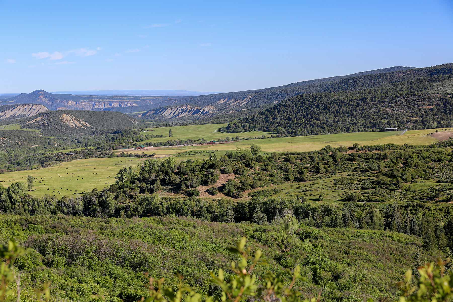 Stealey Mountain Ranch property picture 8 of 76